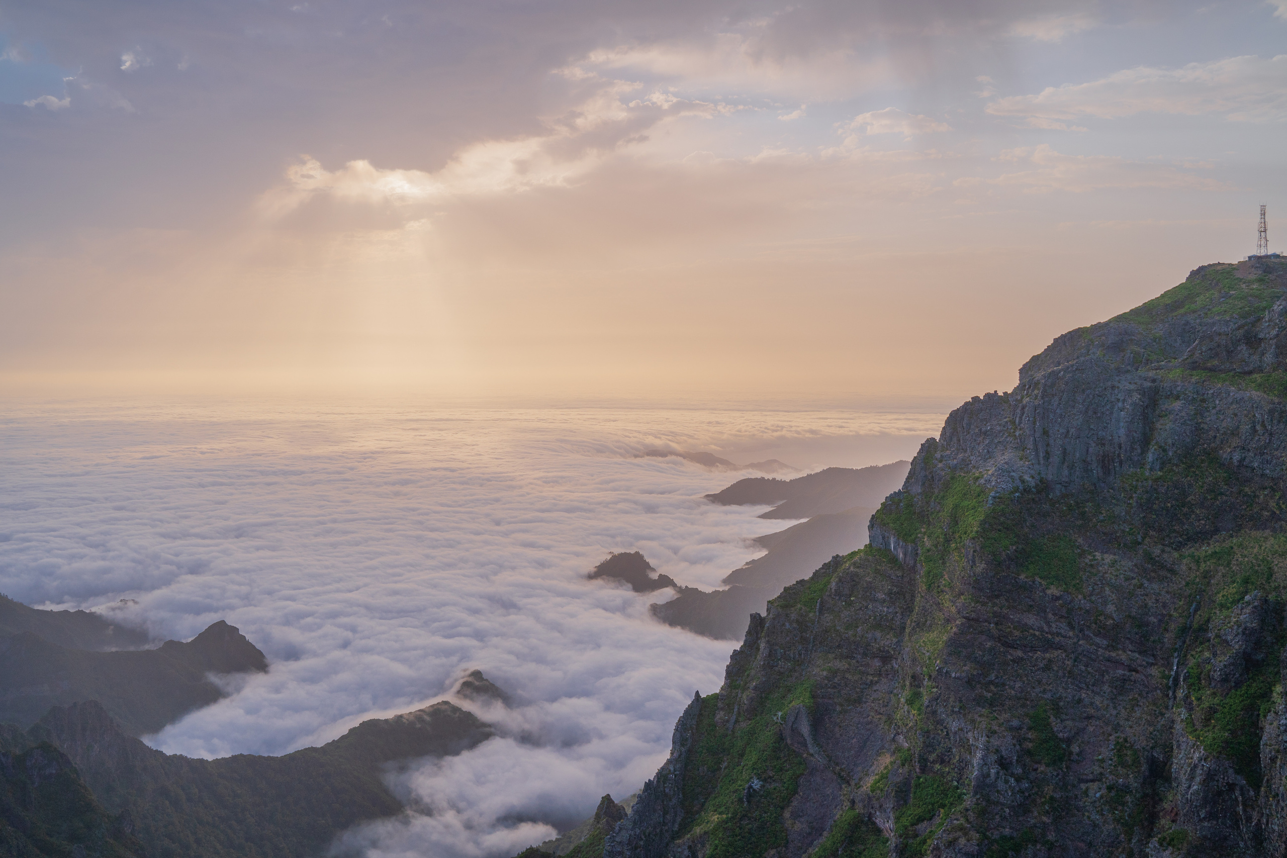 Feedback from my clients. Your photographer in Madeira