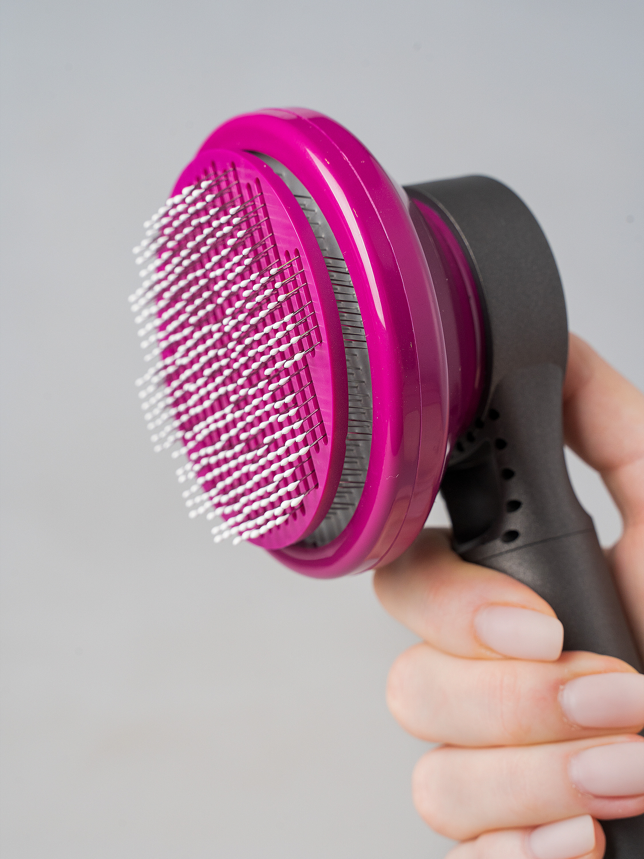 Photo shoot of pet products. Your photographer in Madeira