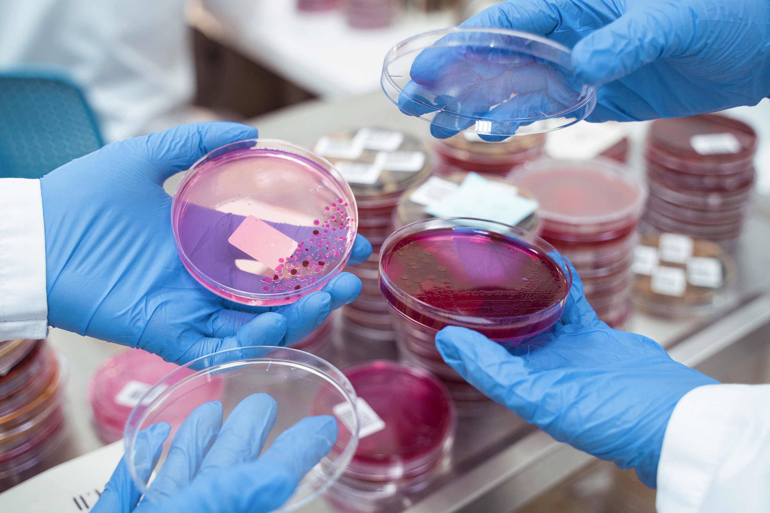 Photo shoot for medical laboratory Explana. Your photographer in Madeira