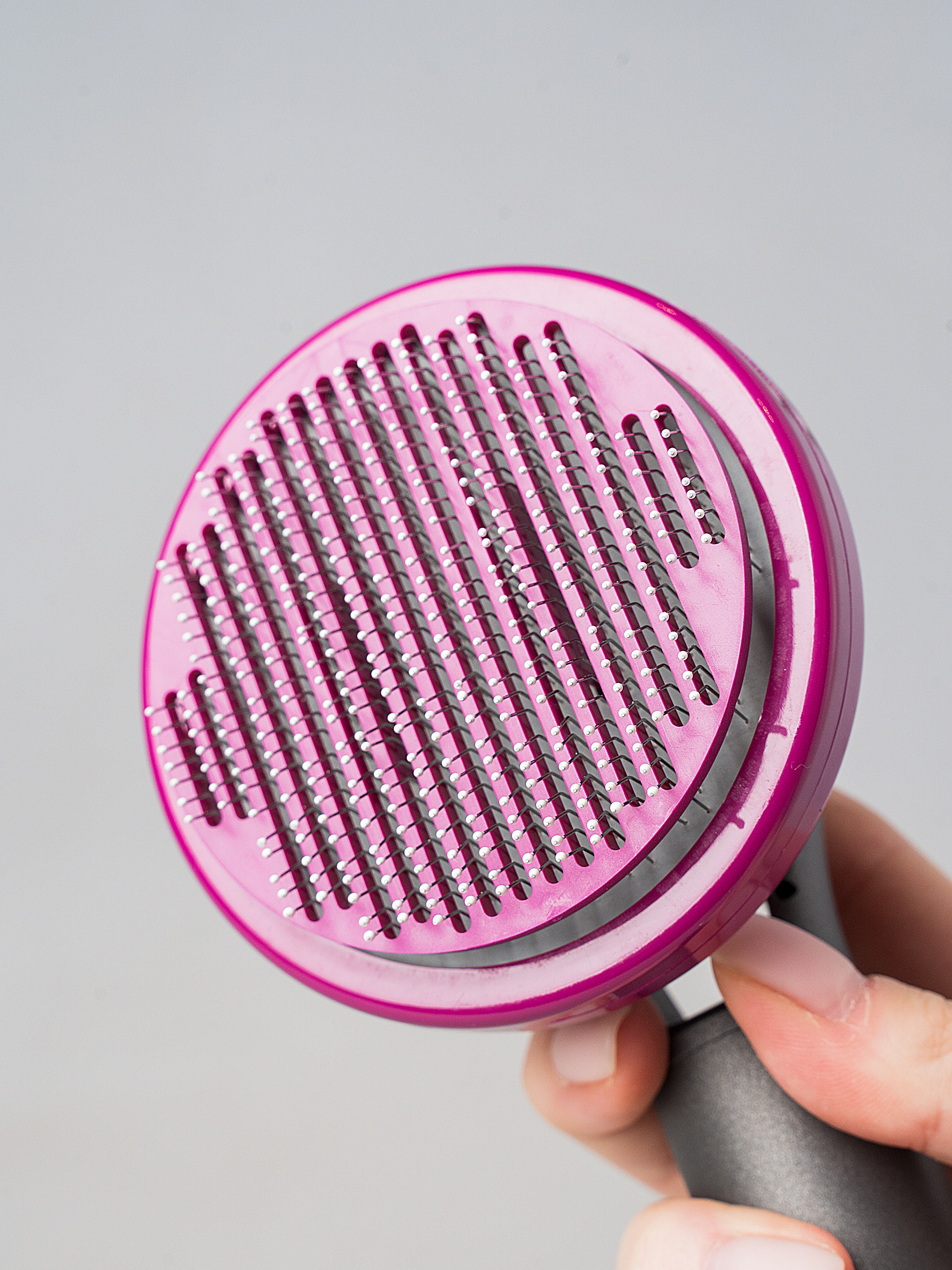 Photo shoot of pet products. Your photographer in Madeira