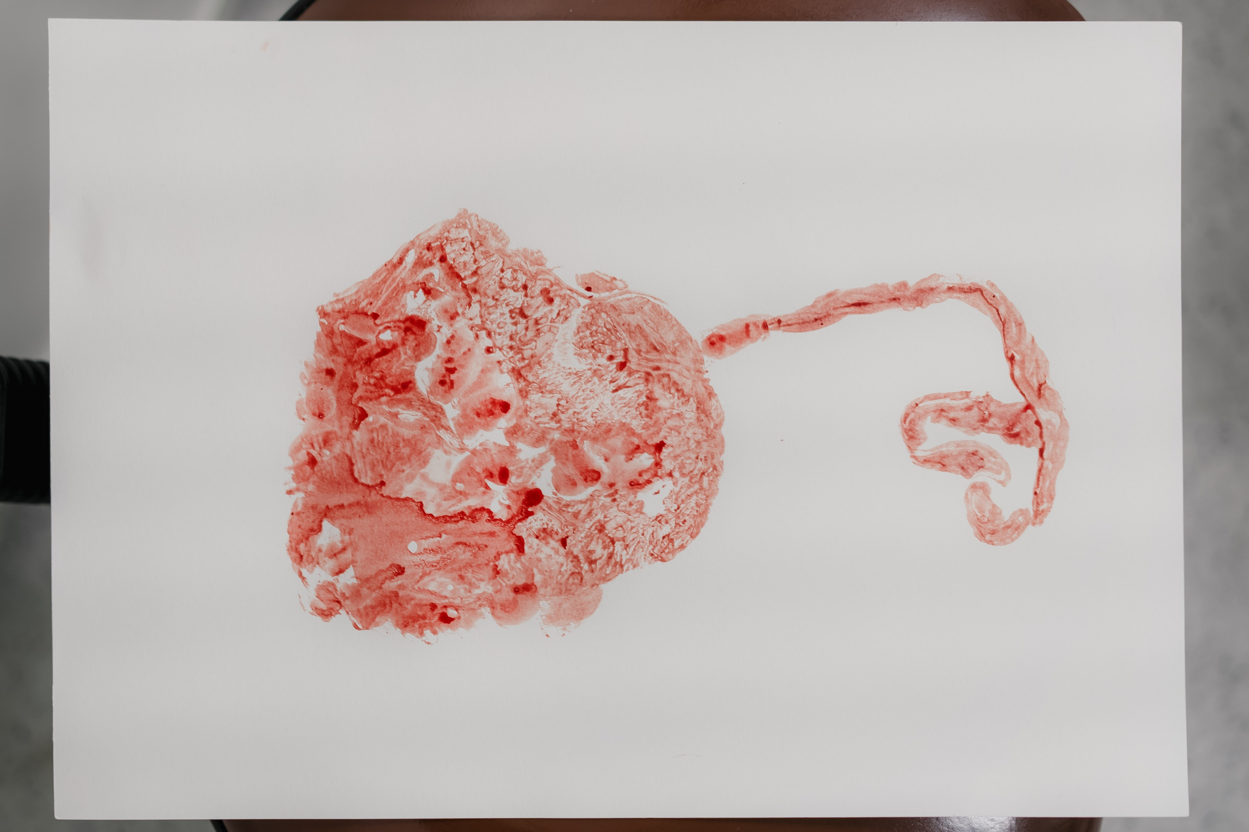 2024-10-25 | Parto — Elisa. Lembrar não é só ver. É sentir de novo