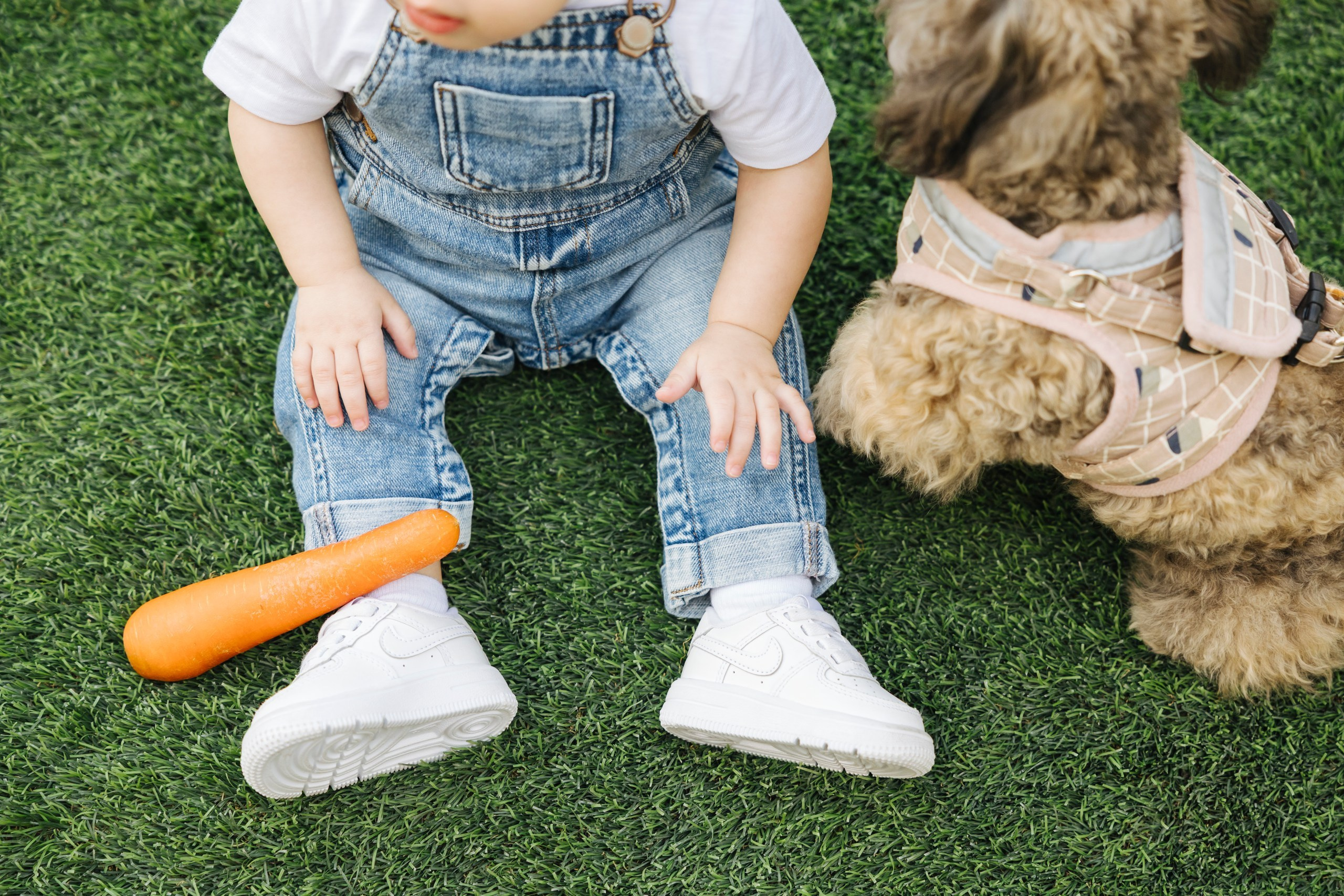 Hind & Humaid’s Birthday