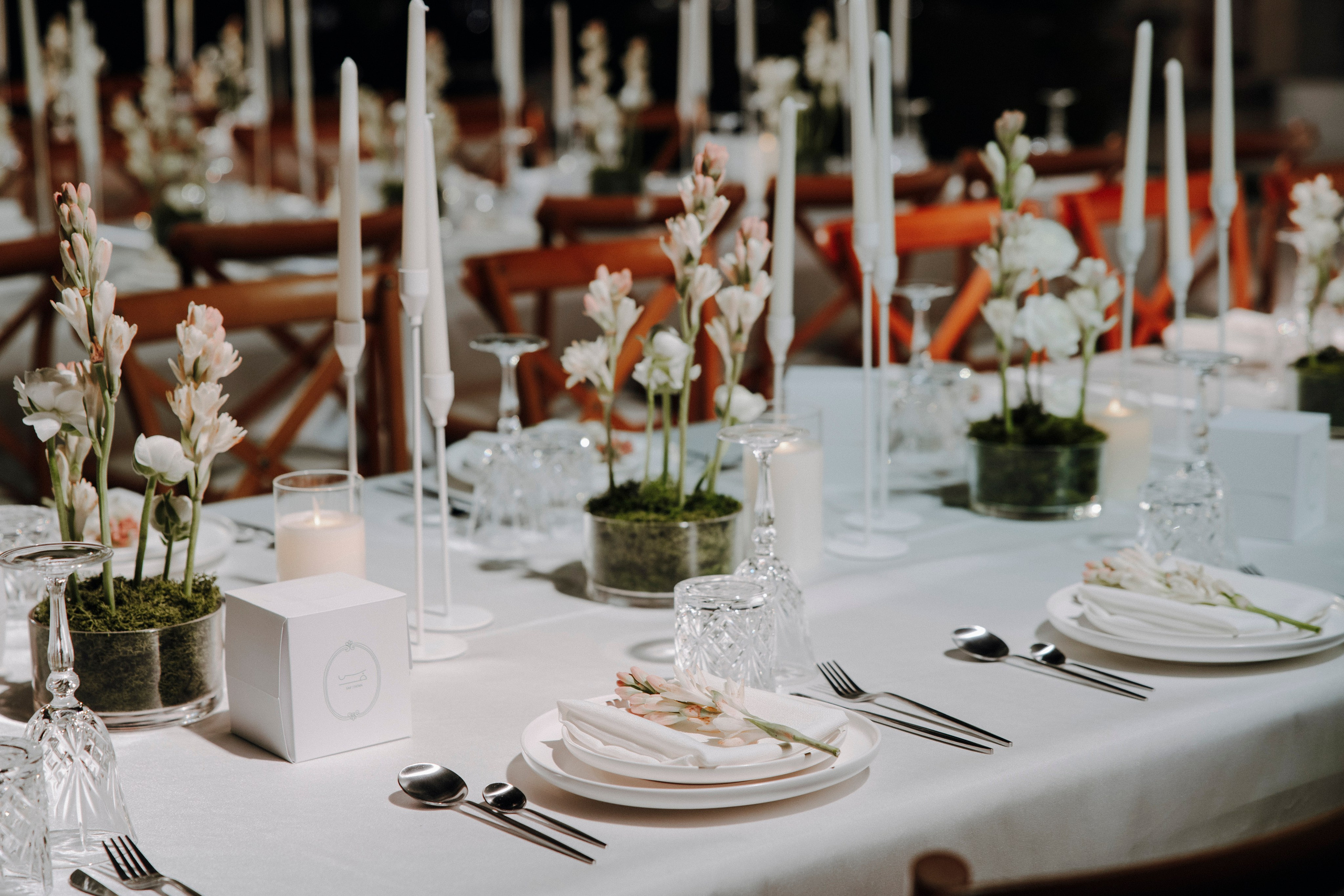 Fatima & Saif Melcha