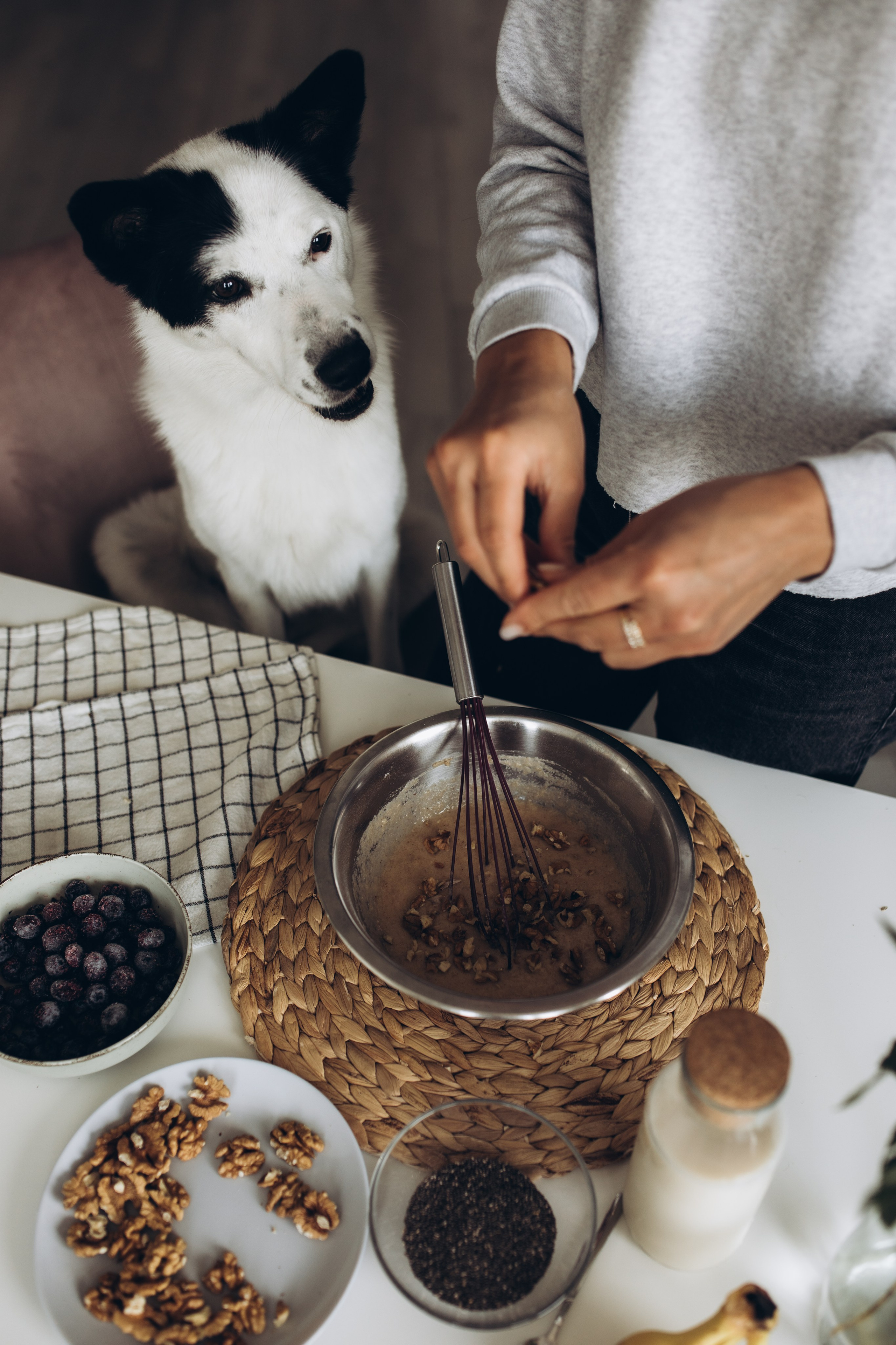 Kate&Tesla. Семейный фотограф в Кишинёве Пулькина Ольга