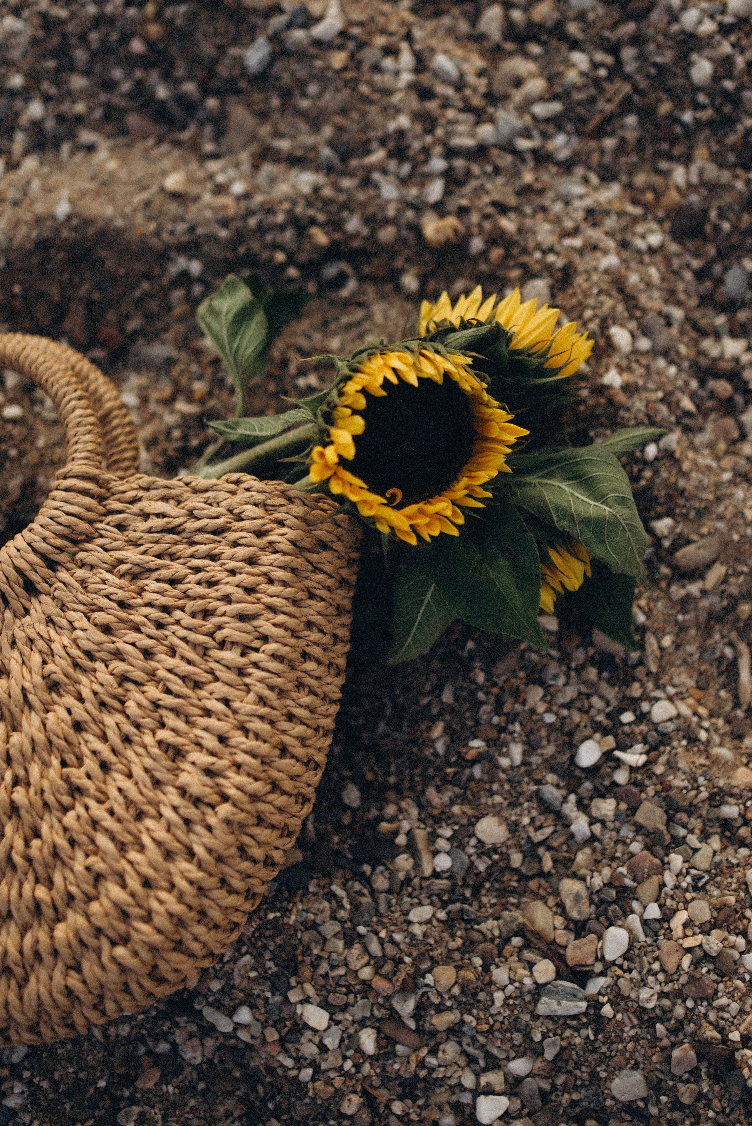 Cospundener See. Семейный фотограф Лейпциг, Германия