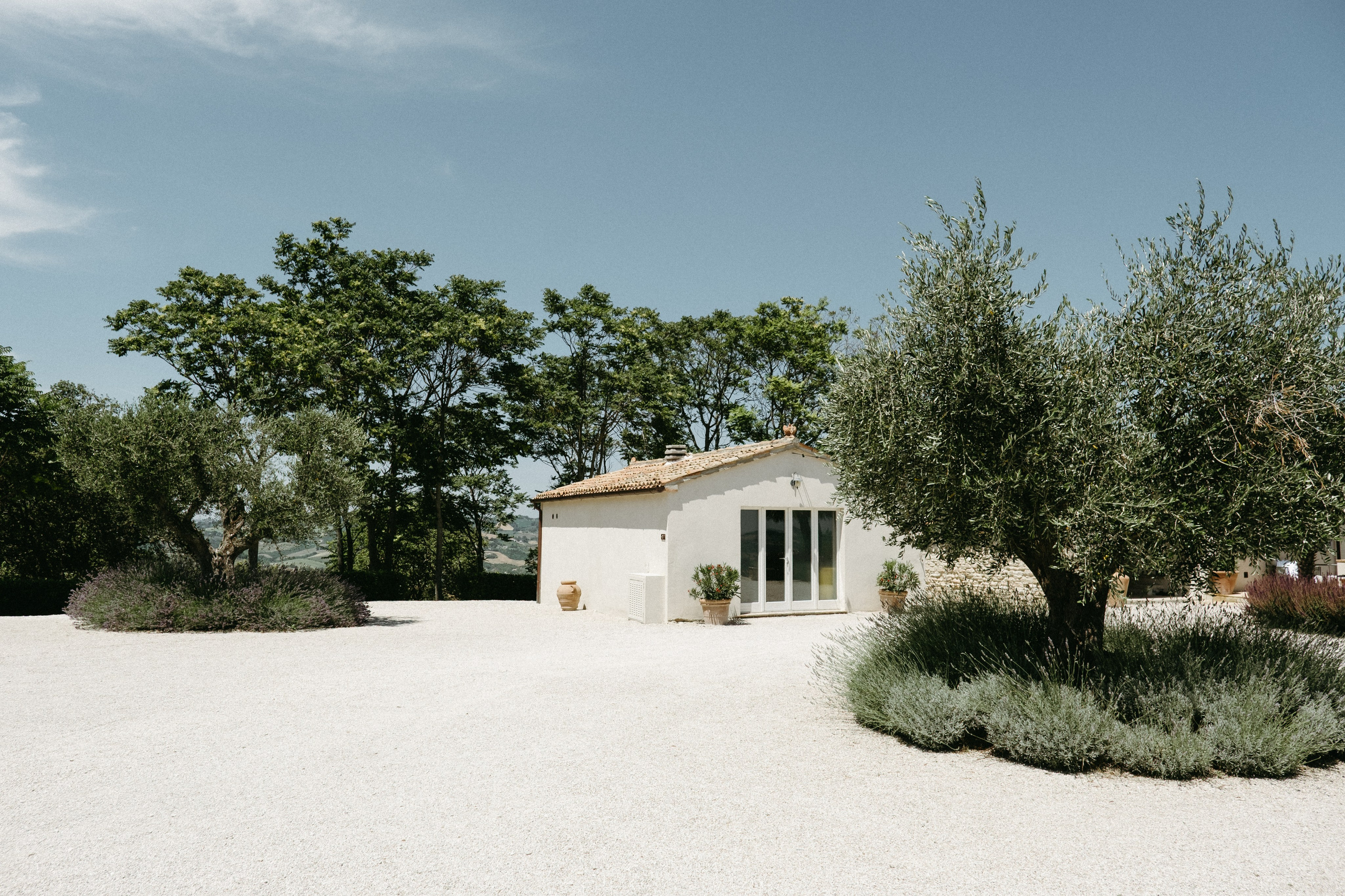 Sofia&Falk. Весільний фотограф Вікторія Саврук