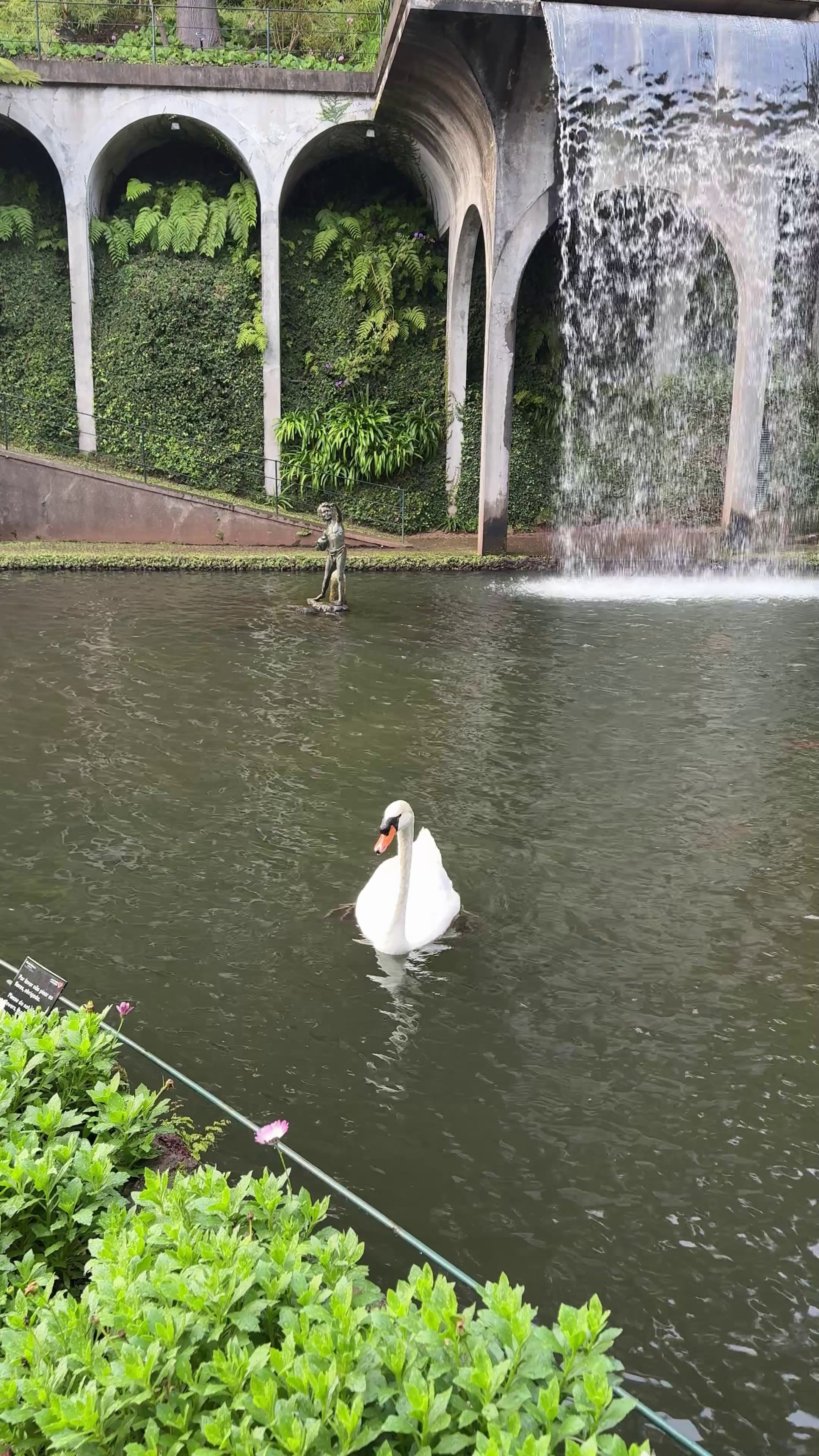 Secret proposal in Monte Palace