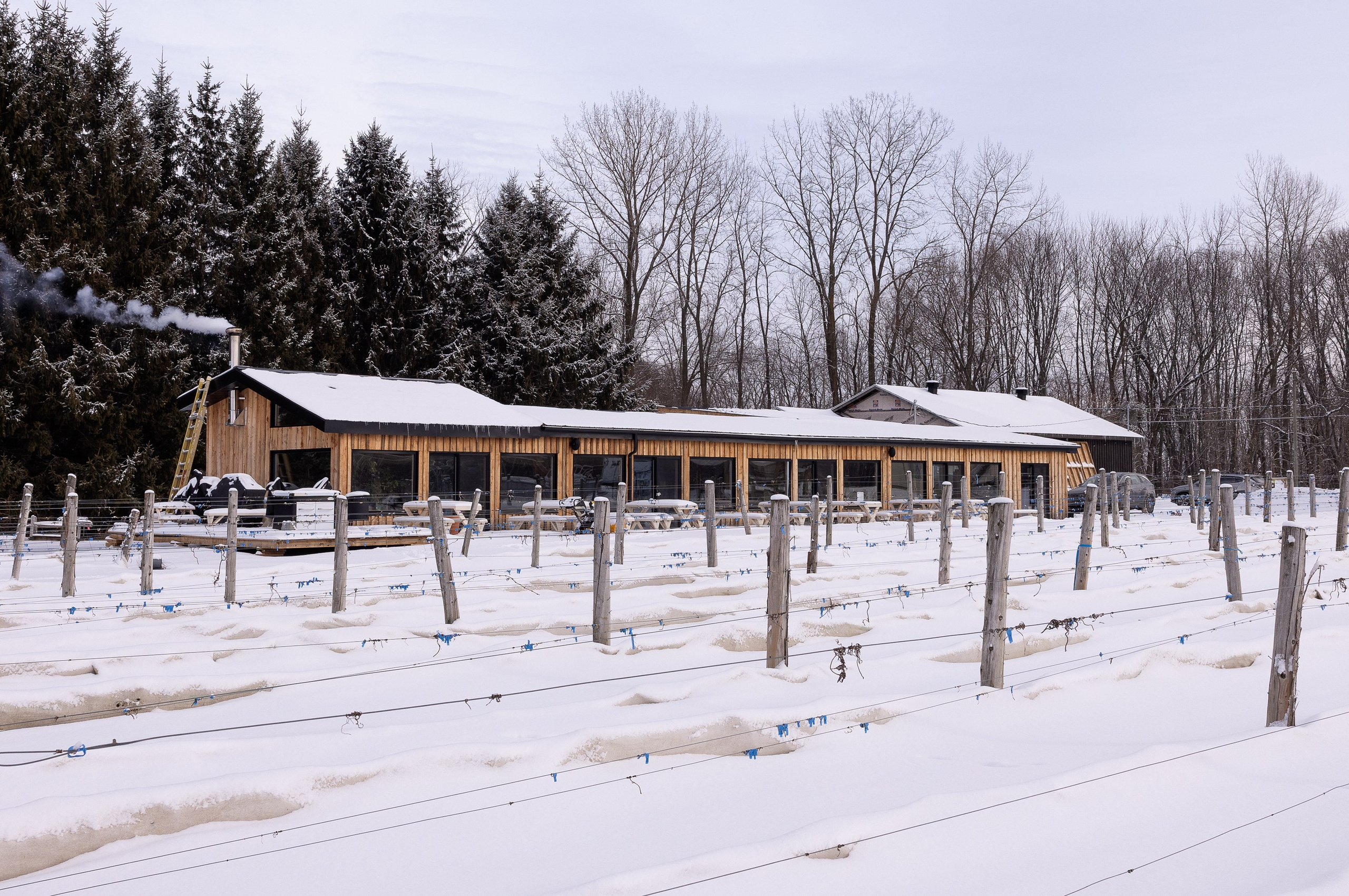 Vignoble et Domaine Beauchemin / Edition January 2025