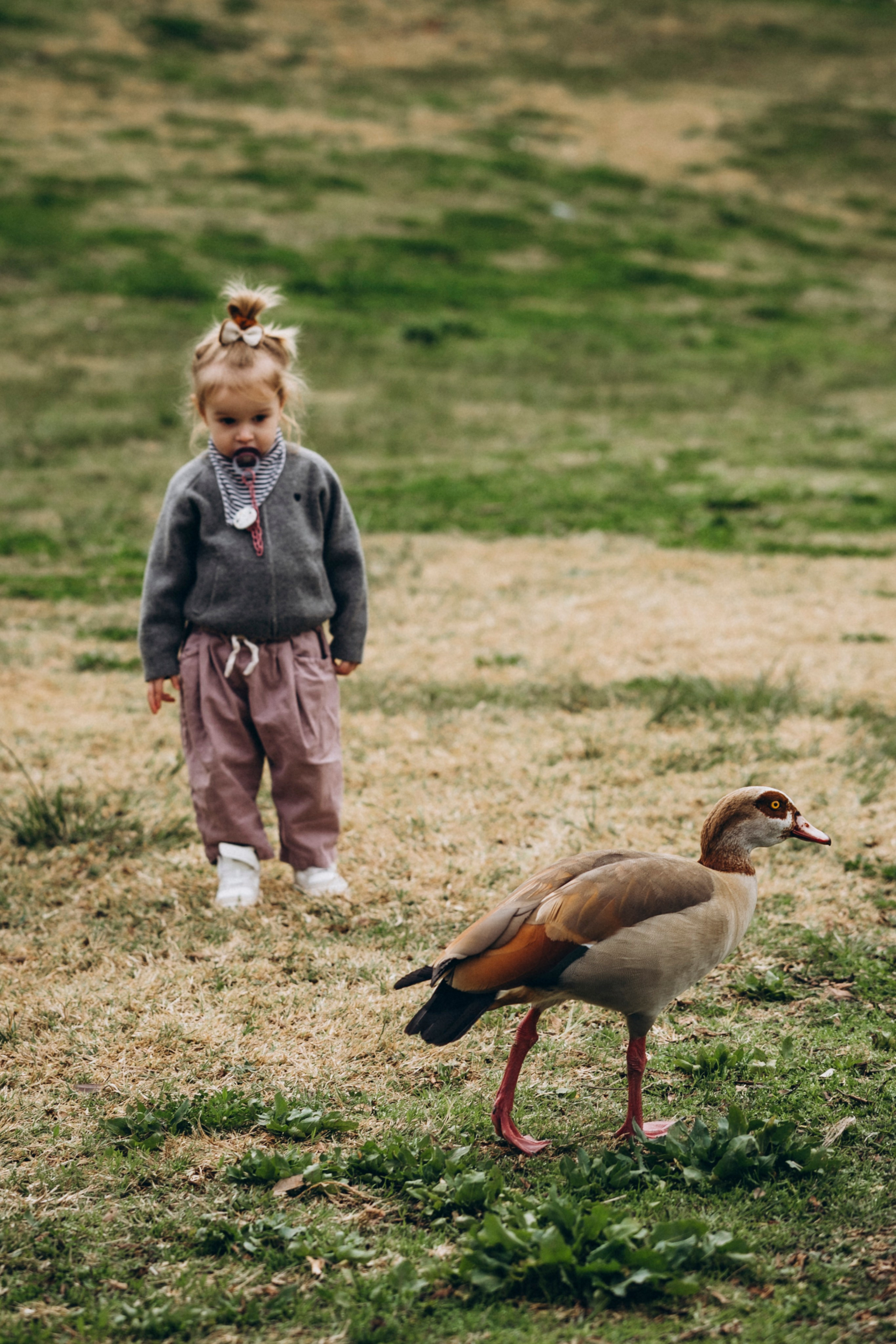 Birthday Miya 2 Years. KATY GOLD PHOTOGRAPHY