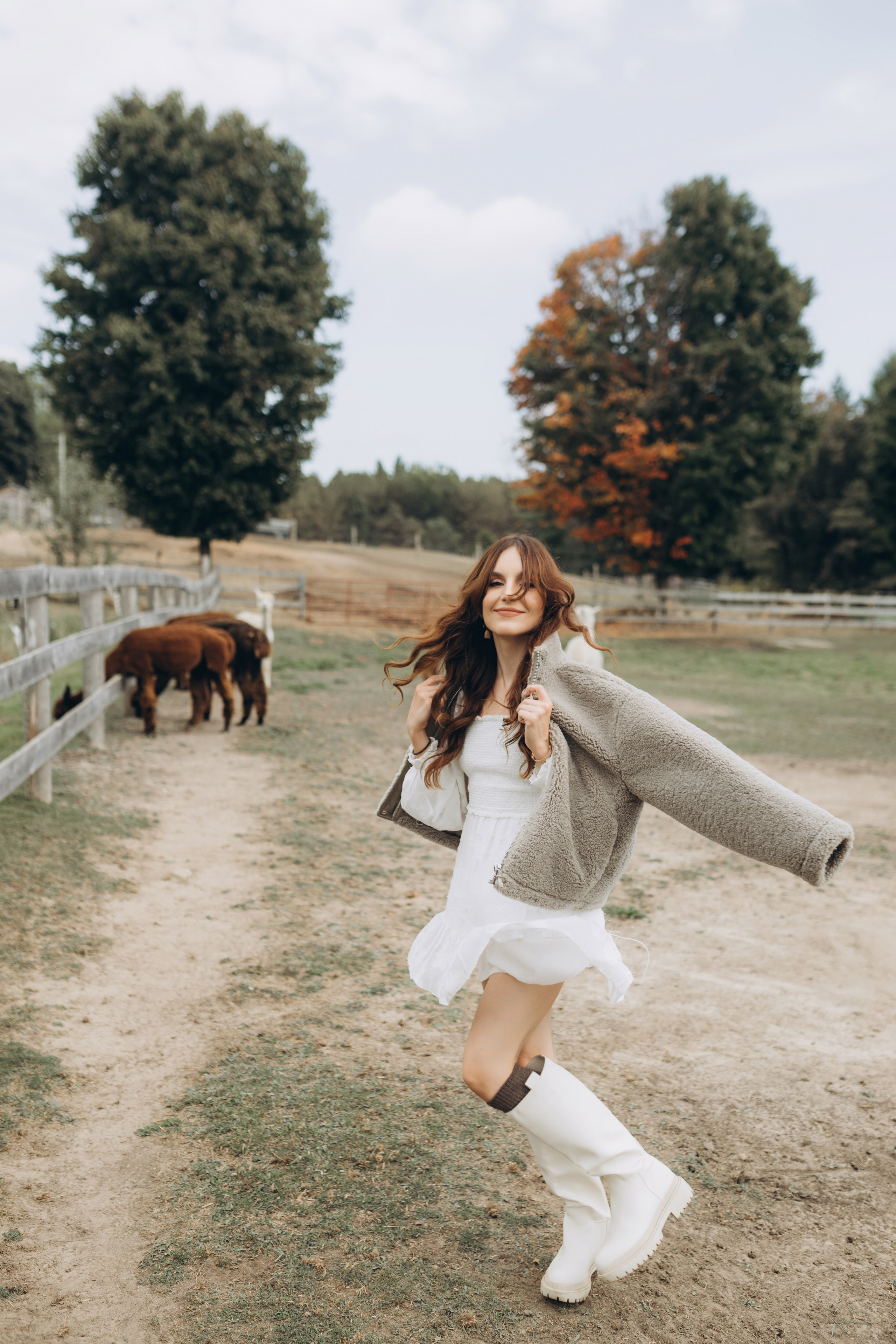 Alpacas Farm. Chernenko.photography