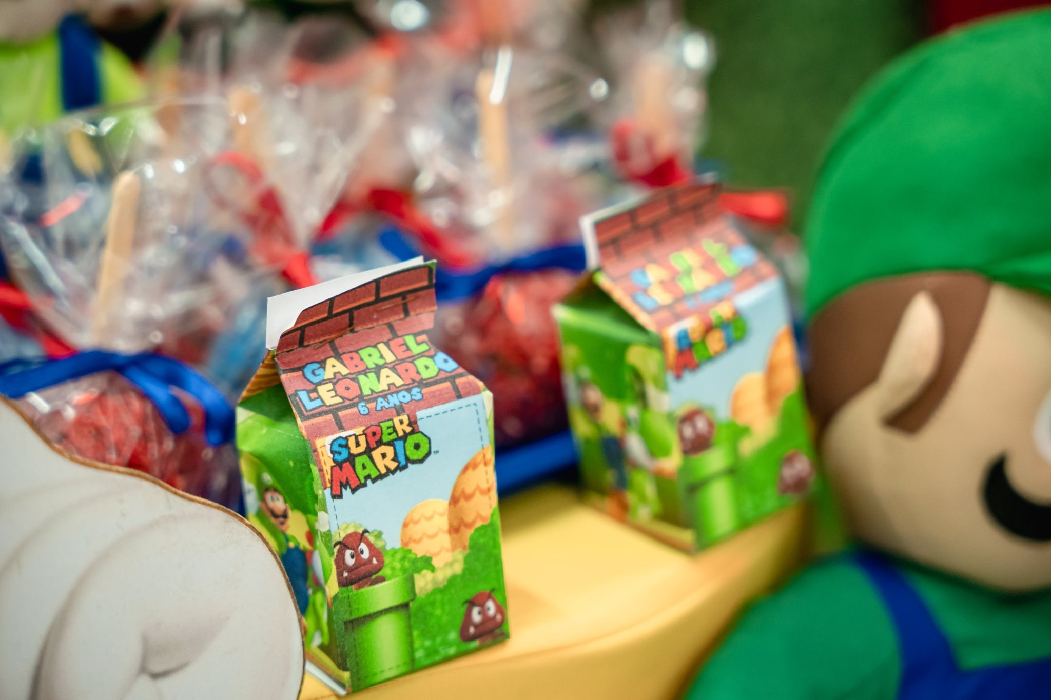 Gabriel 6 anos — 21/01/2024 — Quintal Decora Festas Espaço Kids. Luiz Medeiros Produções