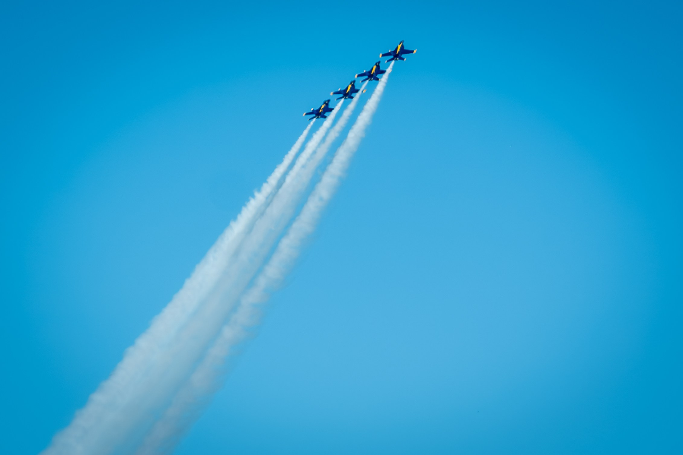 BLUE ANGEL. Reportage concert portrait photography in the San Francisco Bay Area