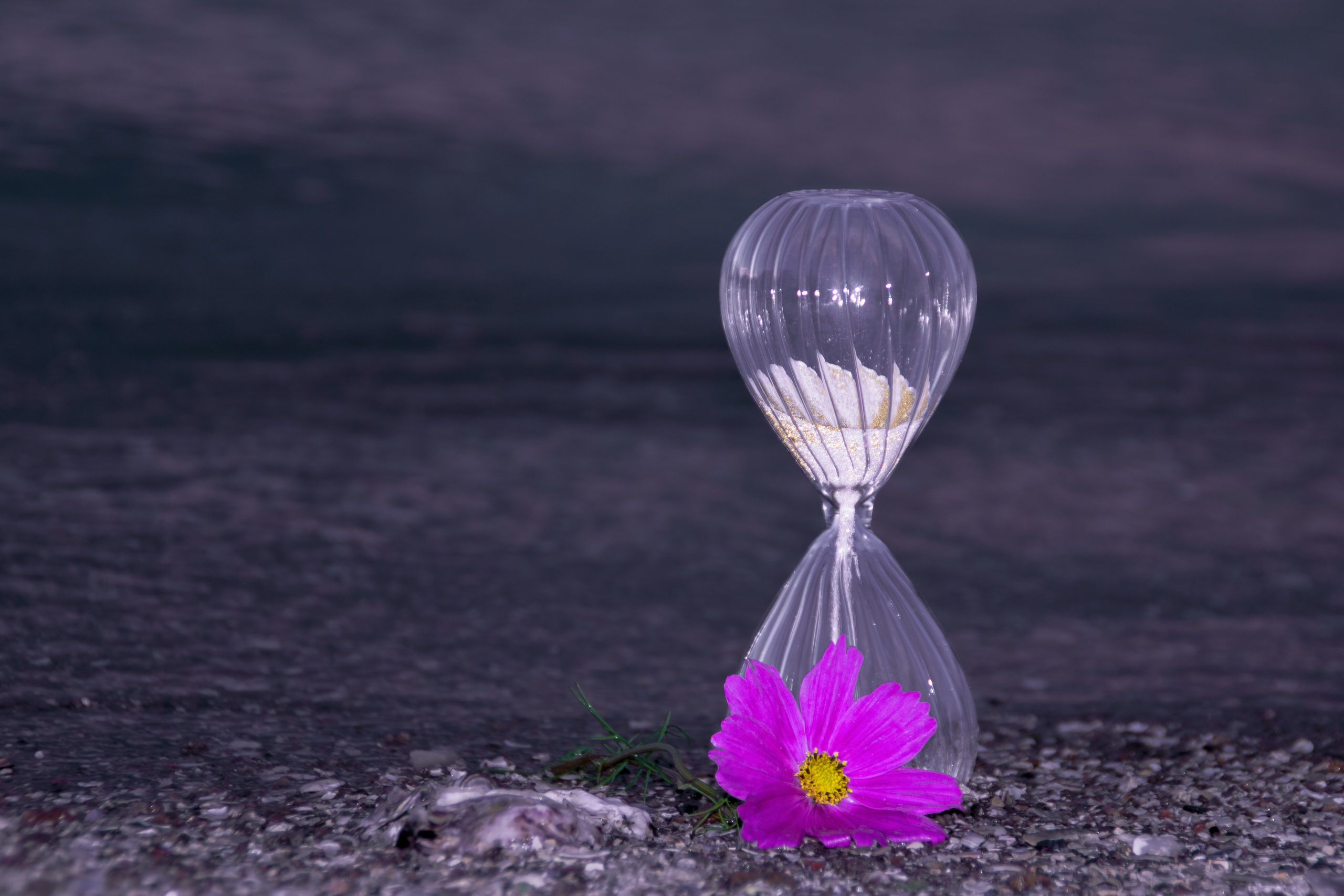 Portfolio. Photographer in Sotenäs municipality. Fotograf i Sotenäs kommun