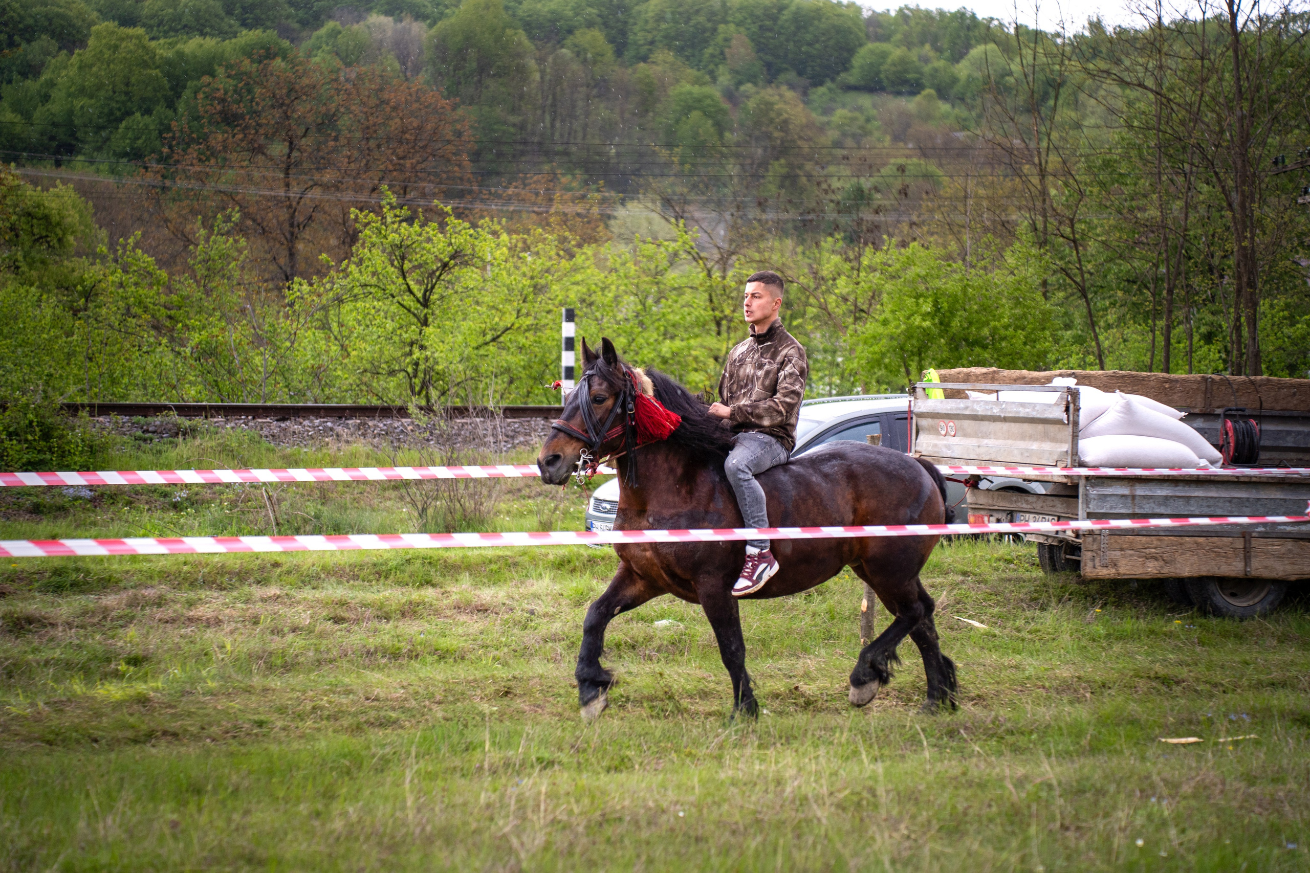 Concurs Ecvestru Vărbilău ediția a 4-a. Mihai Alexandra Events