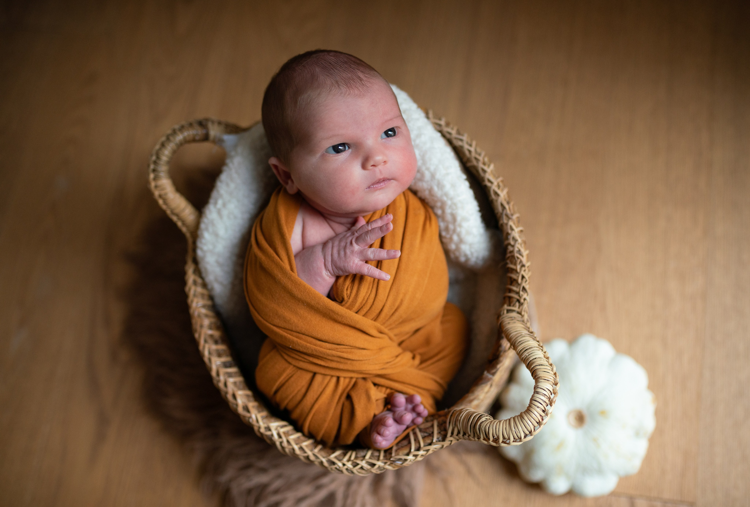 Newborn. Familien- und Kinderfotografin Katerina Vlasenko, München