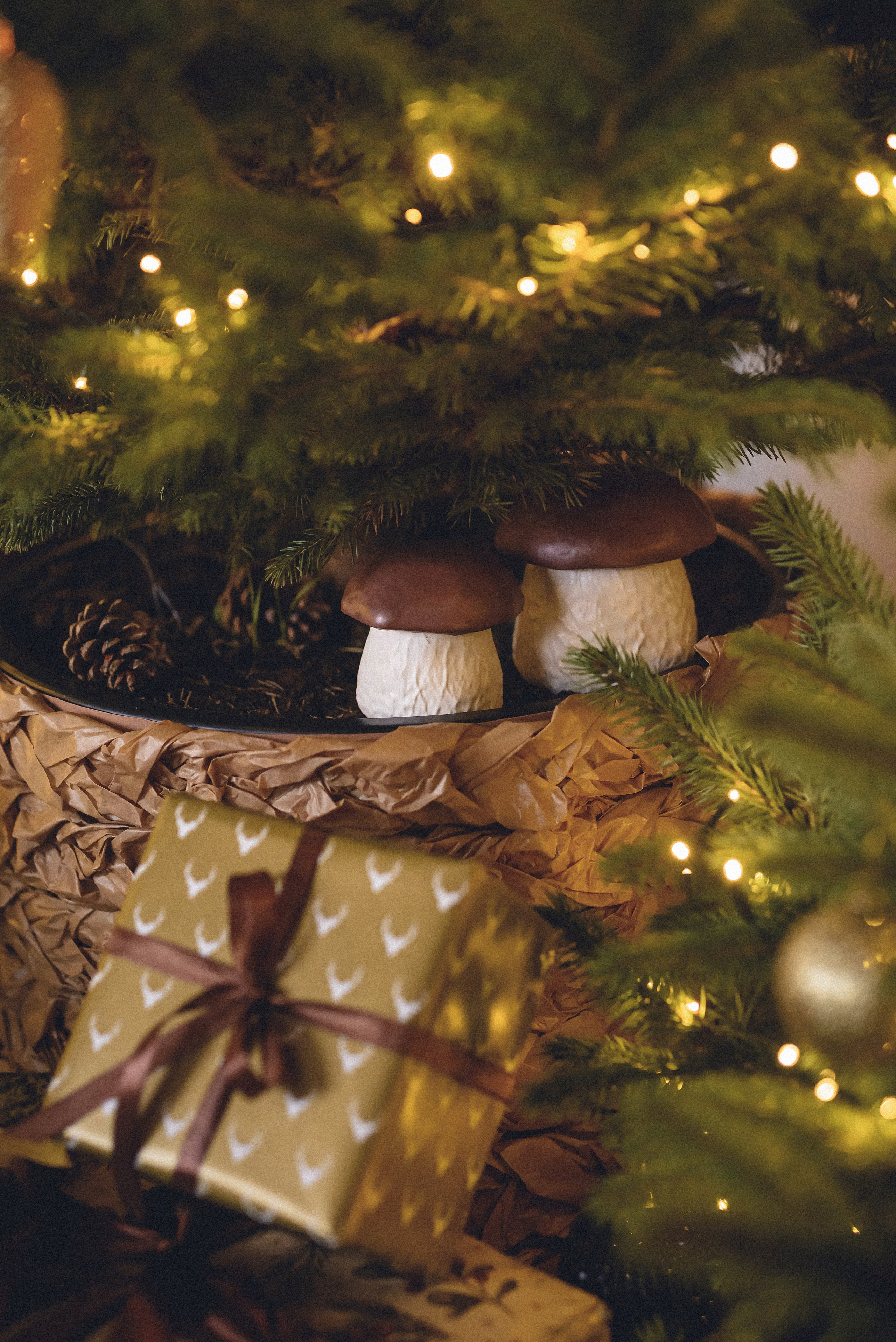 Studija. Fotogrāfs Rīgā. Gīmenes, individuālās un dažādu produktu fotosesijas