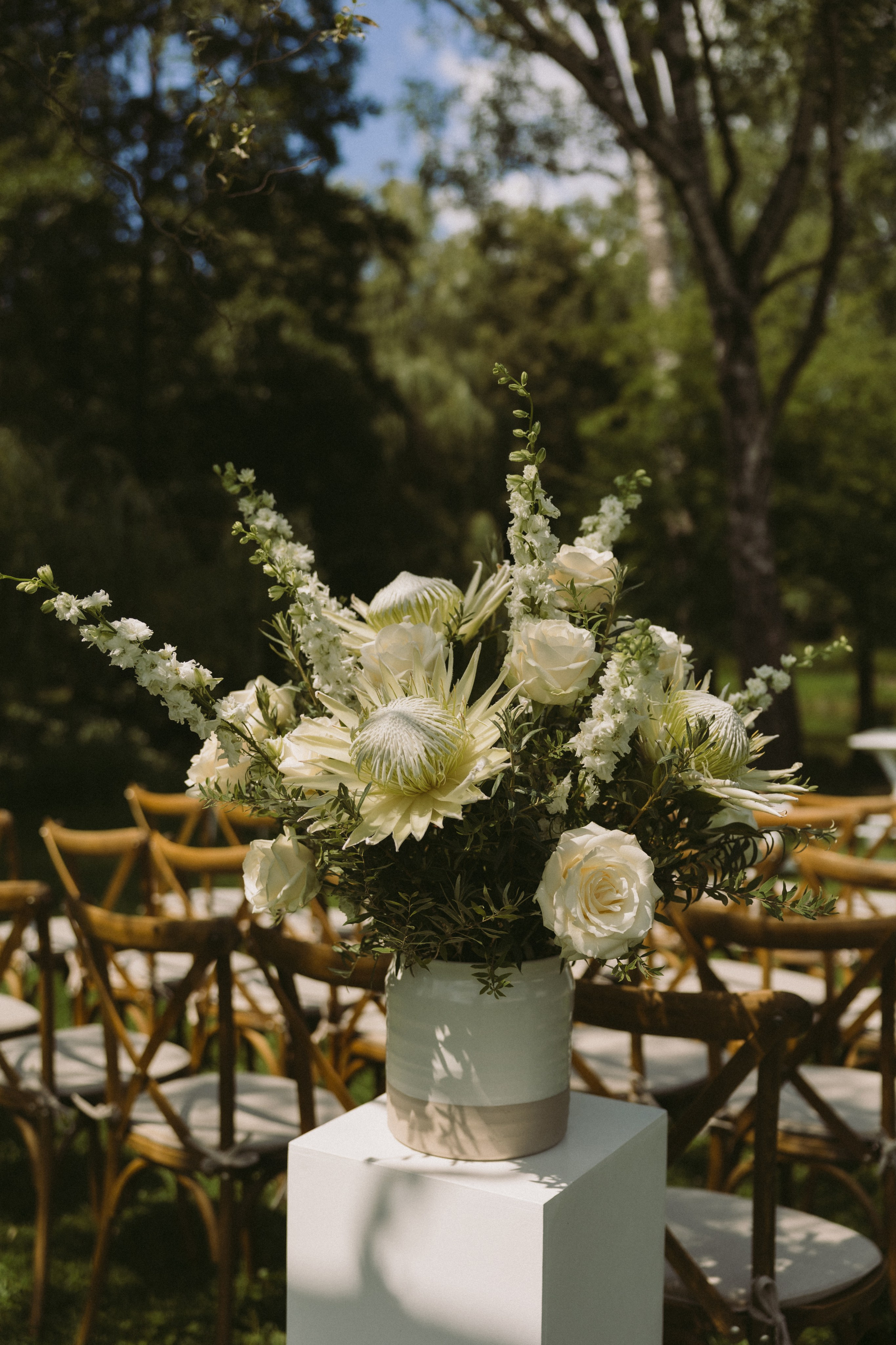 Vestuvių fotosesija Kaunas botanikos sodas