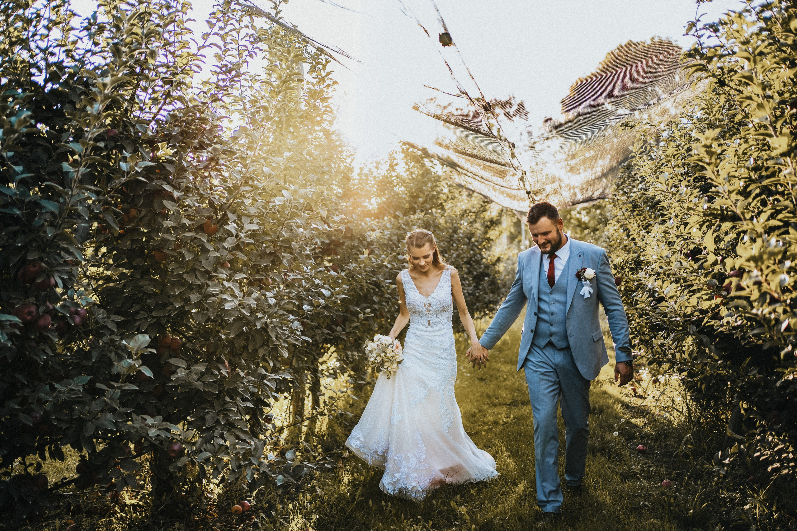 Wedding photography. Wedding photography