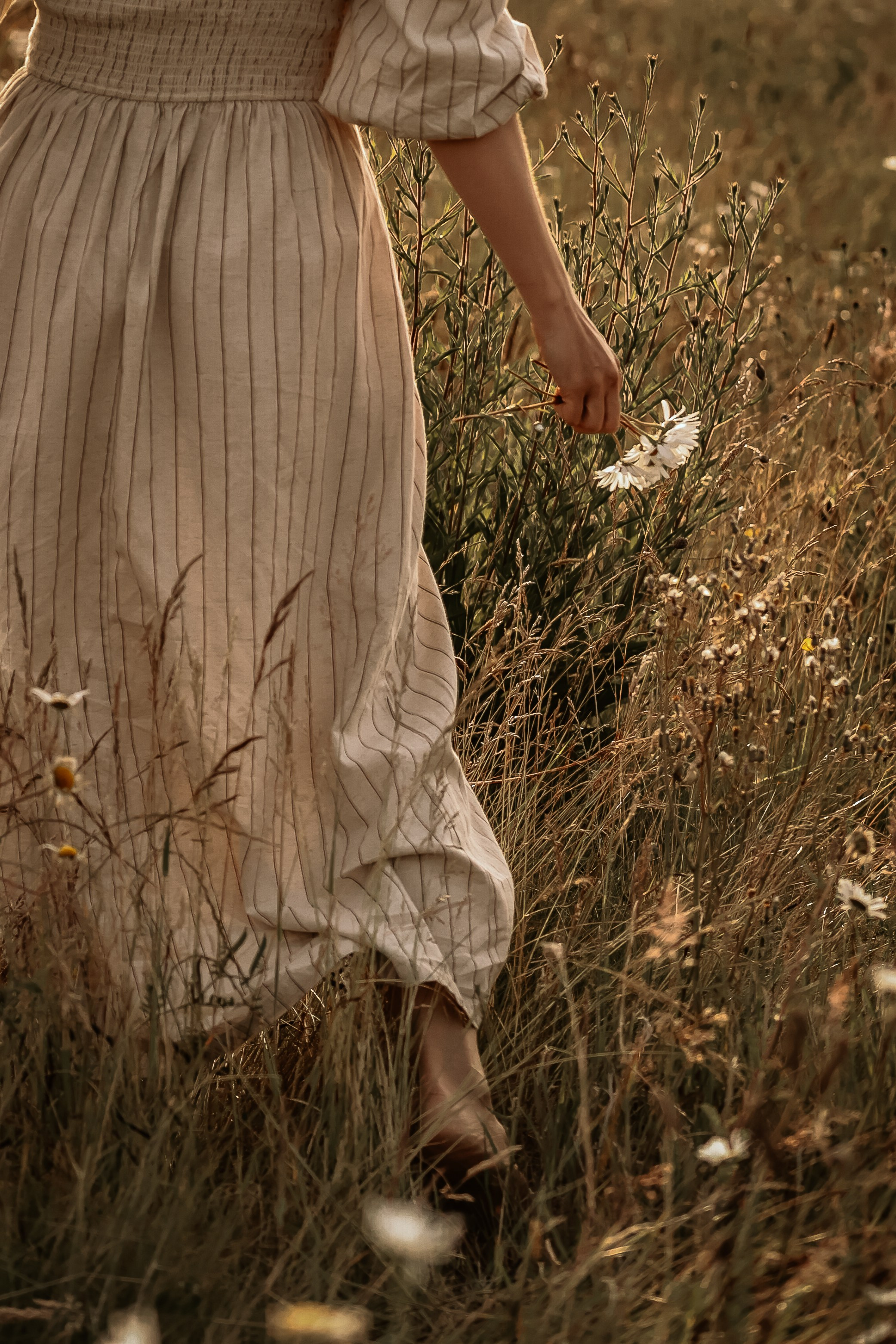 Daisy dreams. Photographer Co Dublin, Balbriggan — Agata Maliseva