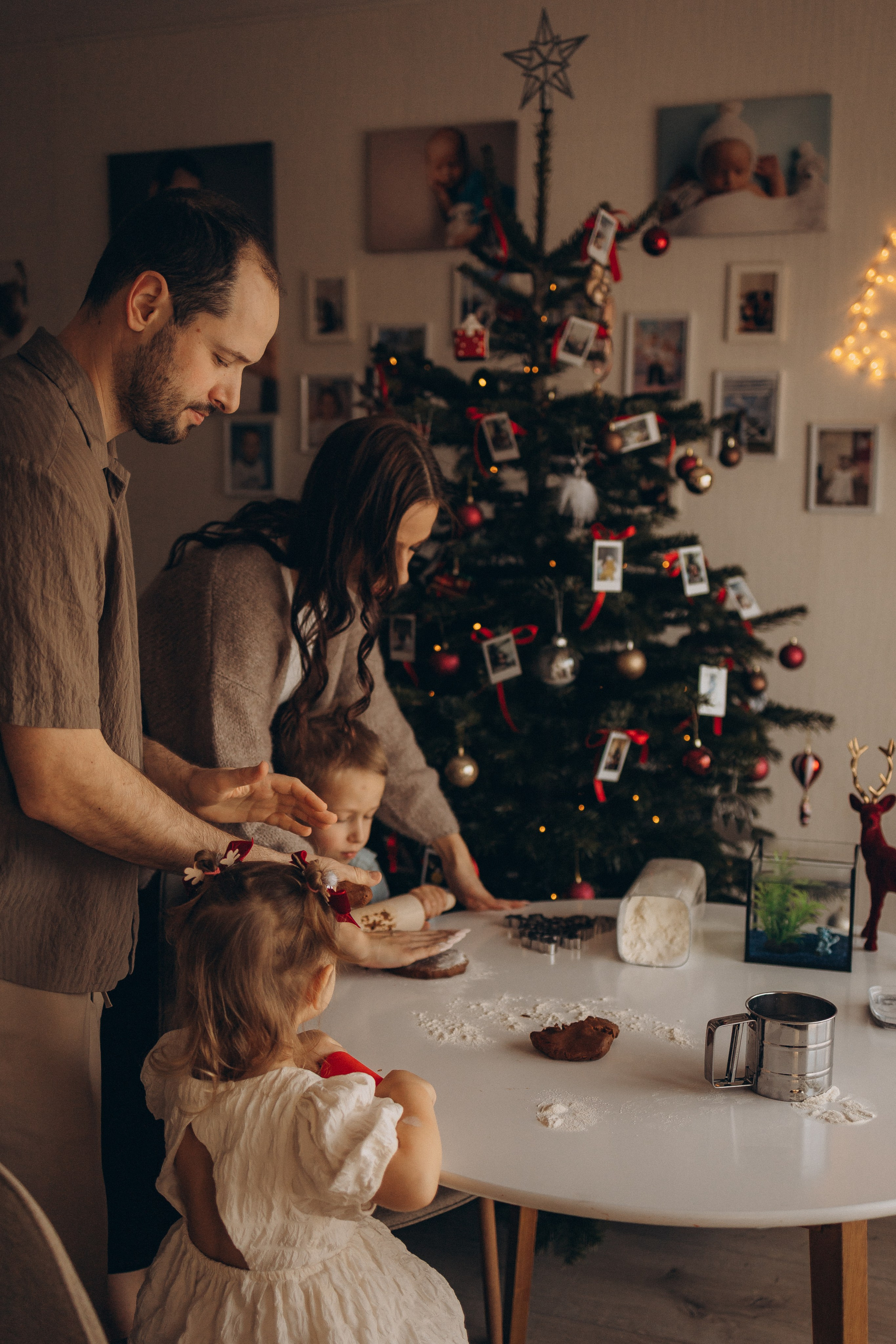 LANAS ģimene. GALVENĀ