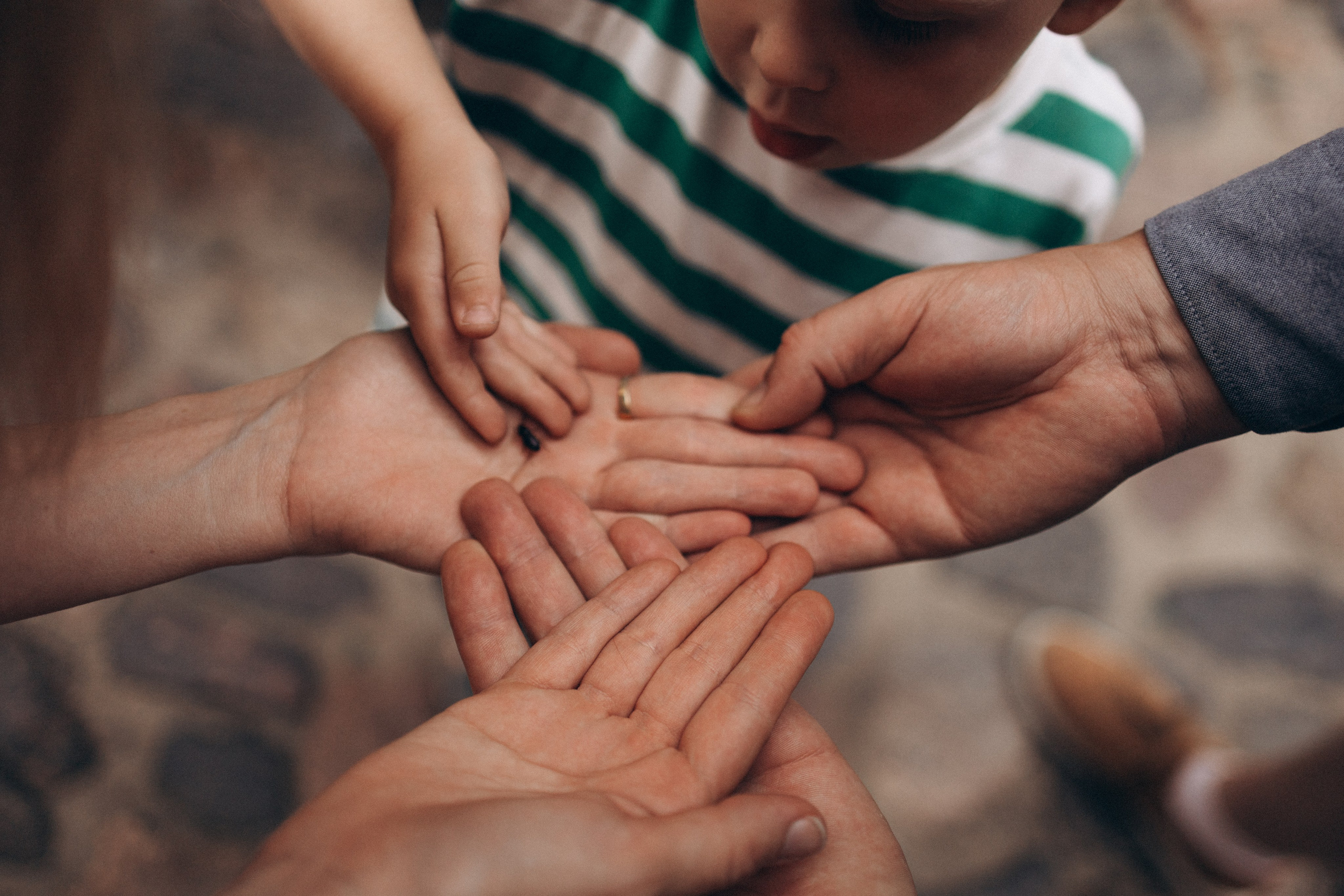 SINTIJAS ģimene. GALVENĀ