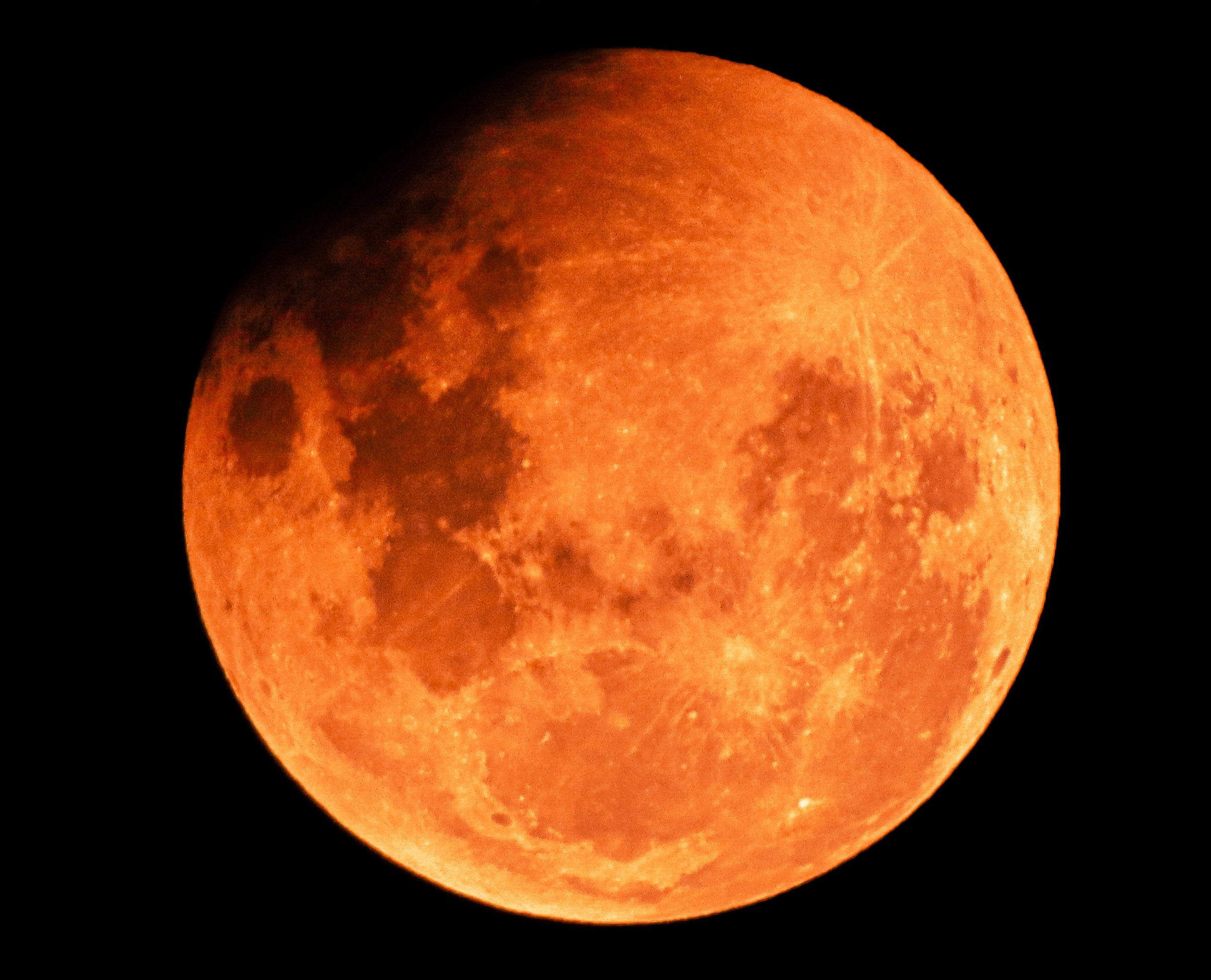 WallMuse. MHCreative is family-oriented photographer based in SYDNEY