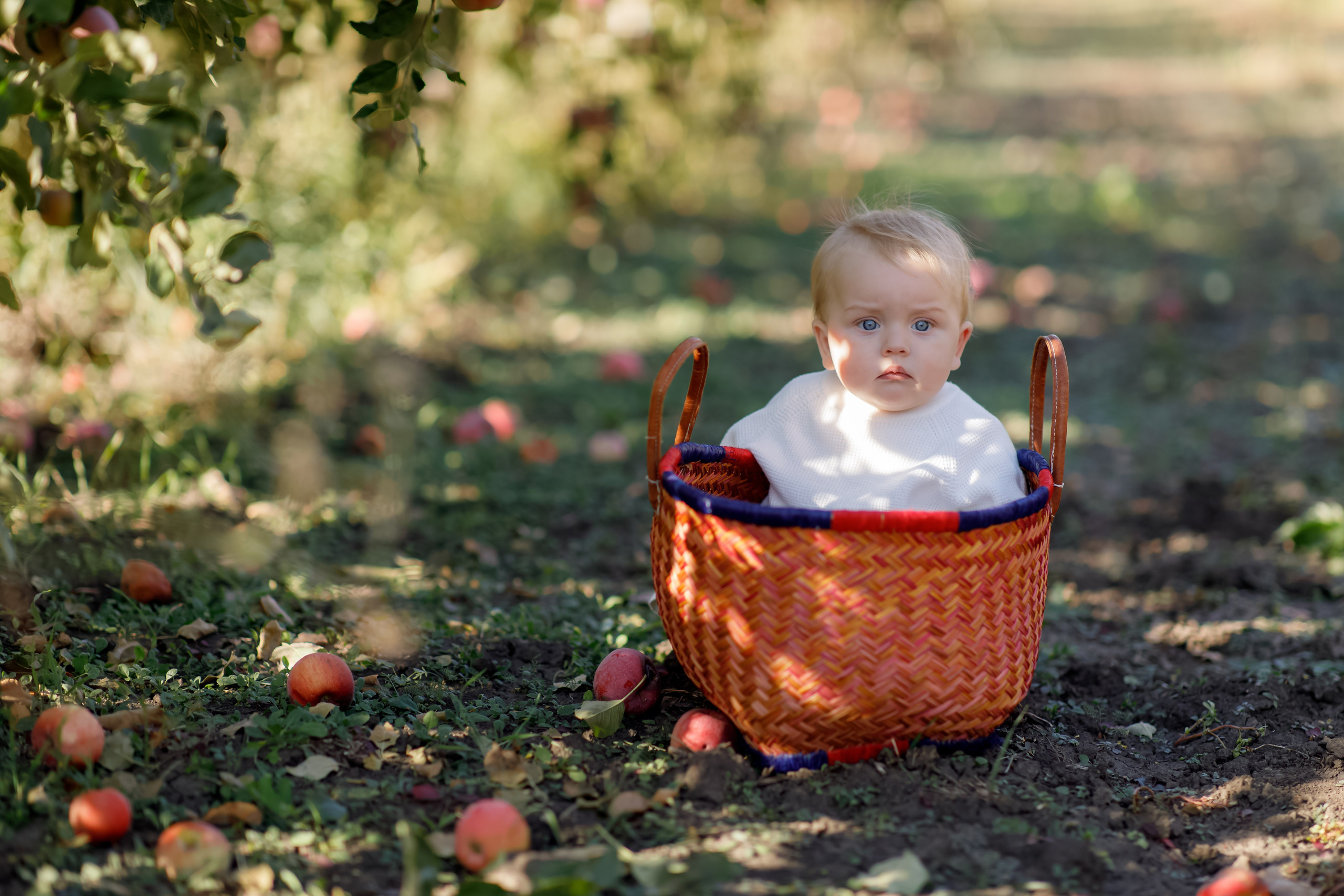 Family photo Mihaela Ungureanu. N.D.photograph - fotograf de familie și portrete în Republica Moldova