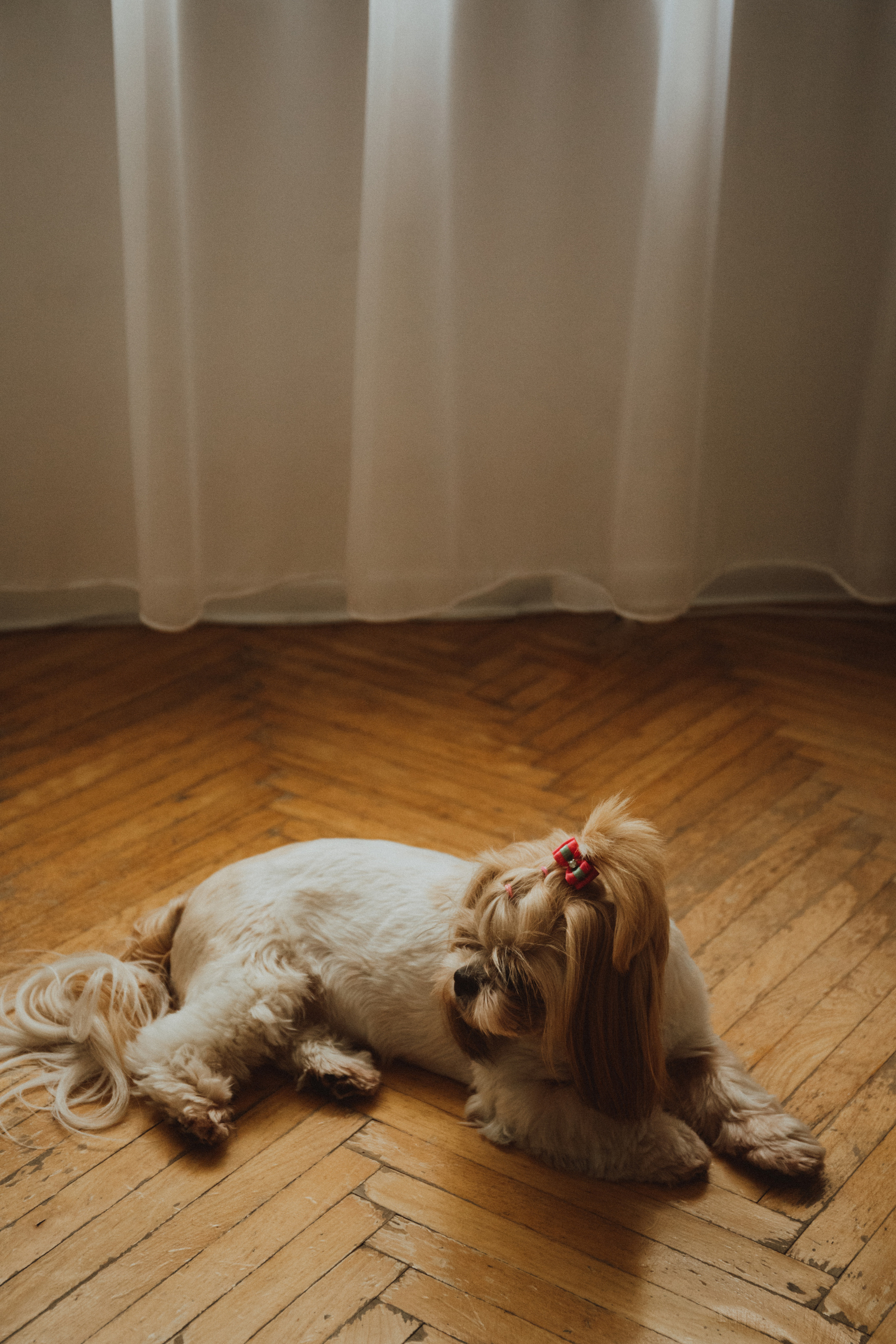 ALEKSANDRA HUBERT. Fotograf Mykhalchuk Inna Kraków
