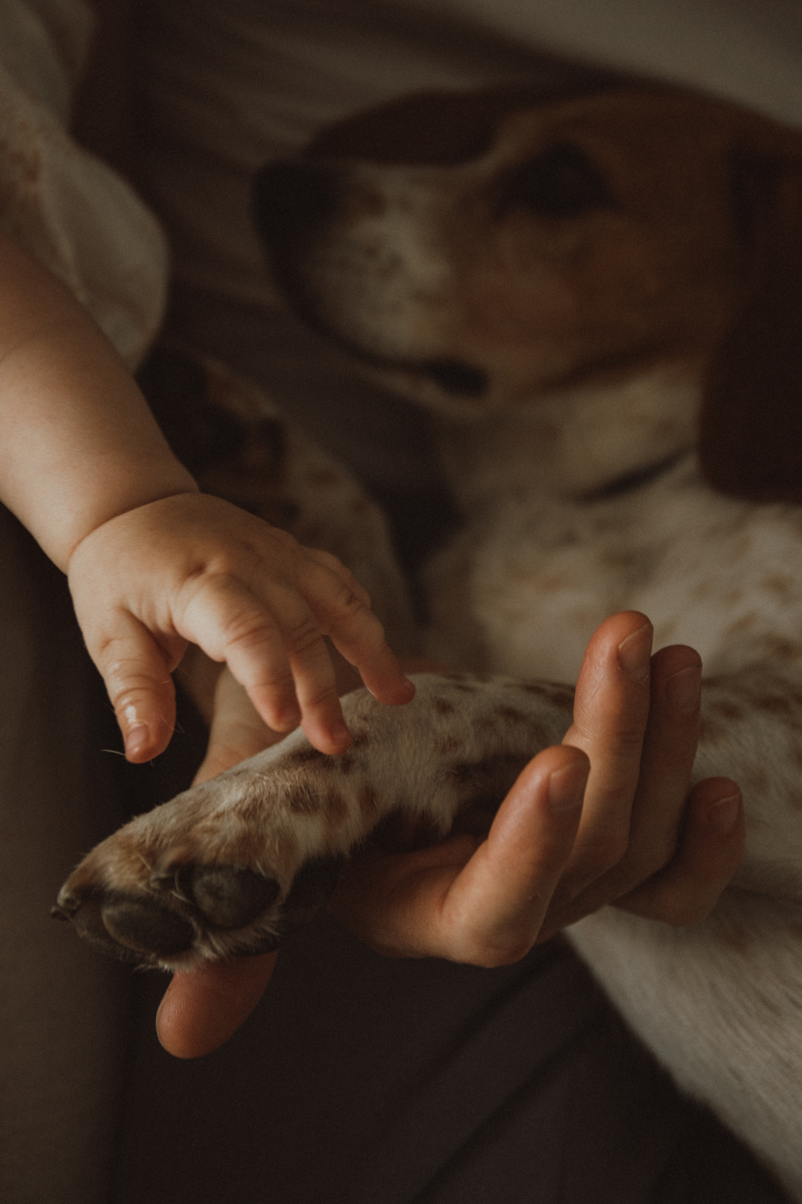 DARIA IGOR MARK. Fotograf Mykhalchuk Inna Kraków