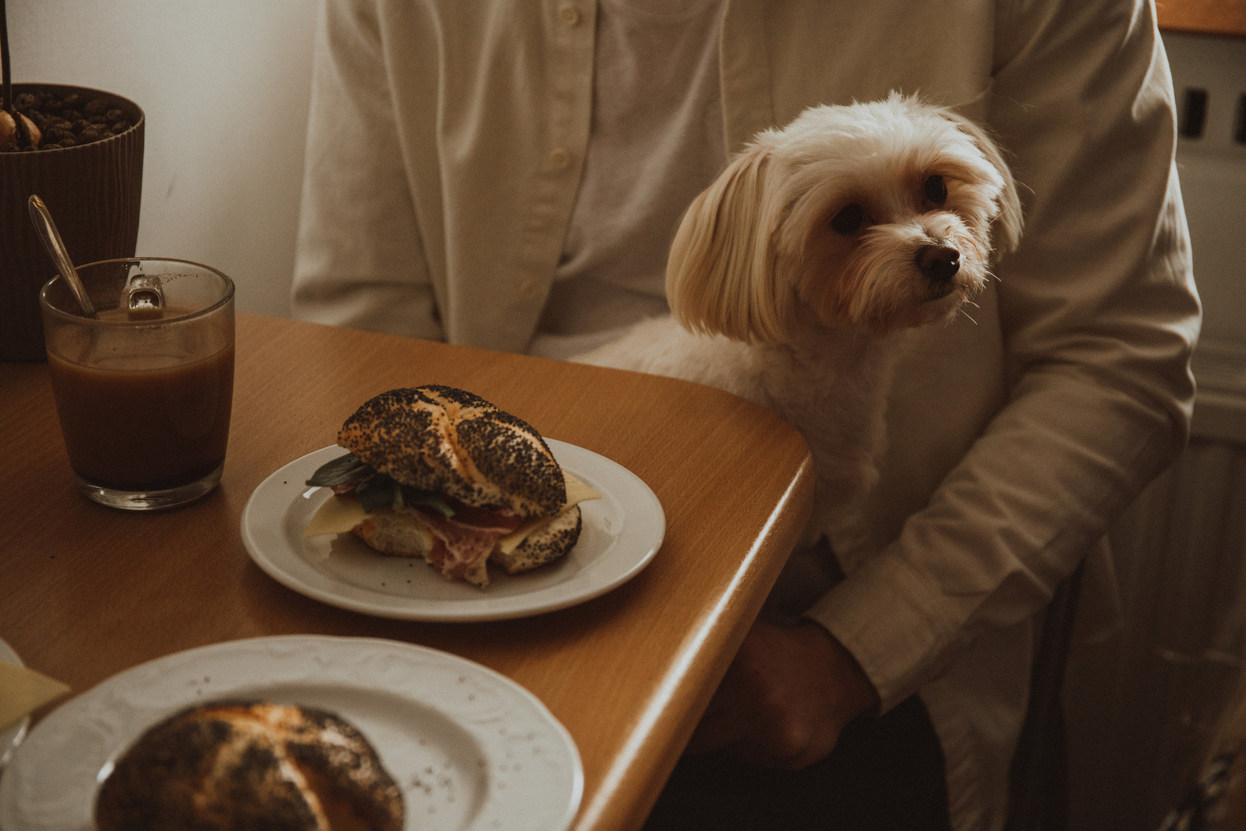 MANUELLA ANDREY. Fotograf Mykhalchuk Inna Kraków
