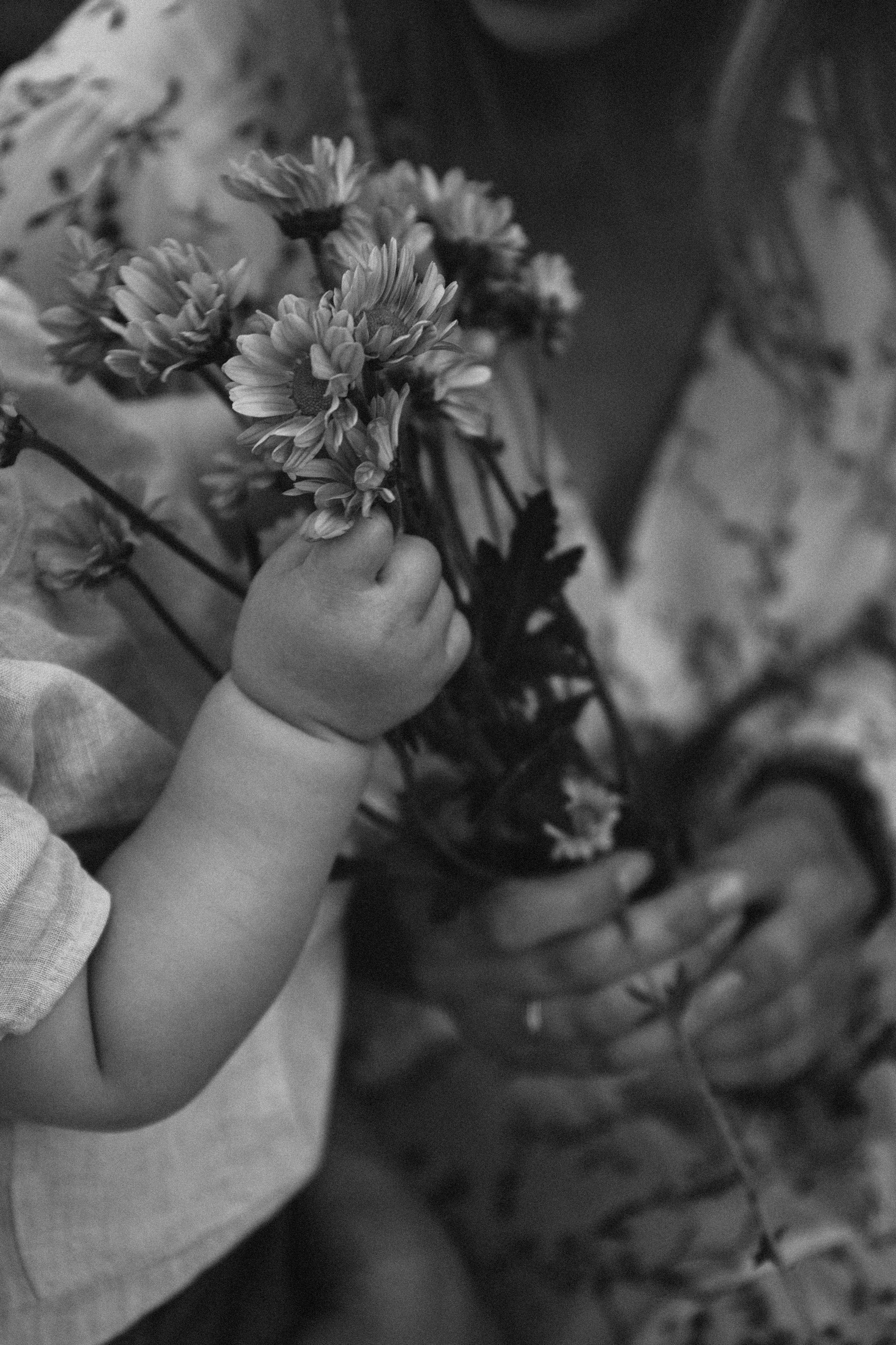 SLAVIK NASTYA DANIEL. Fotograf Mykhalchuk Inna Kraków