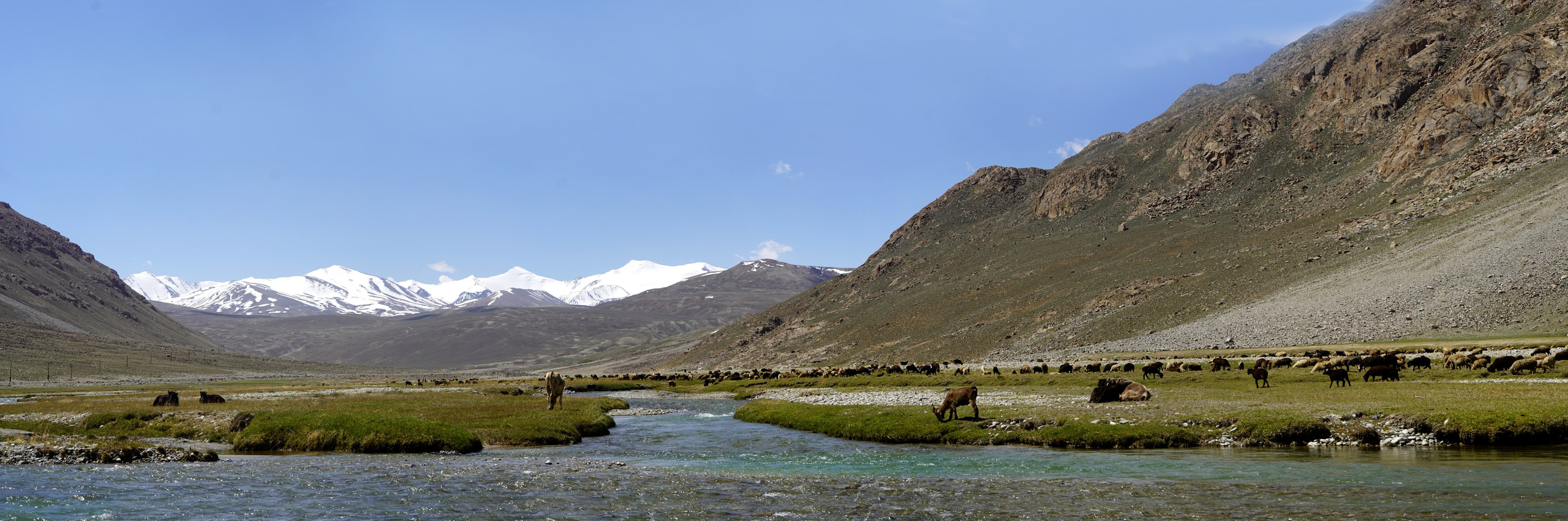Главная. Коммерческий фотограф в г. Душанбе, Орзу Собиров
