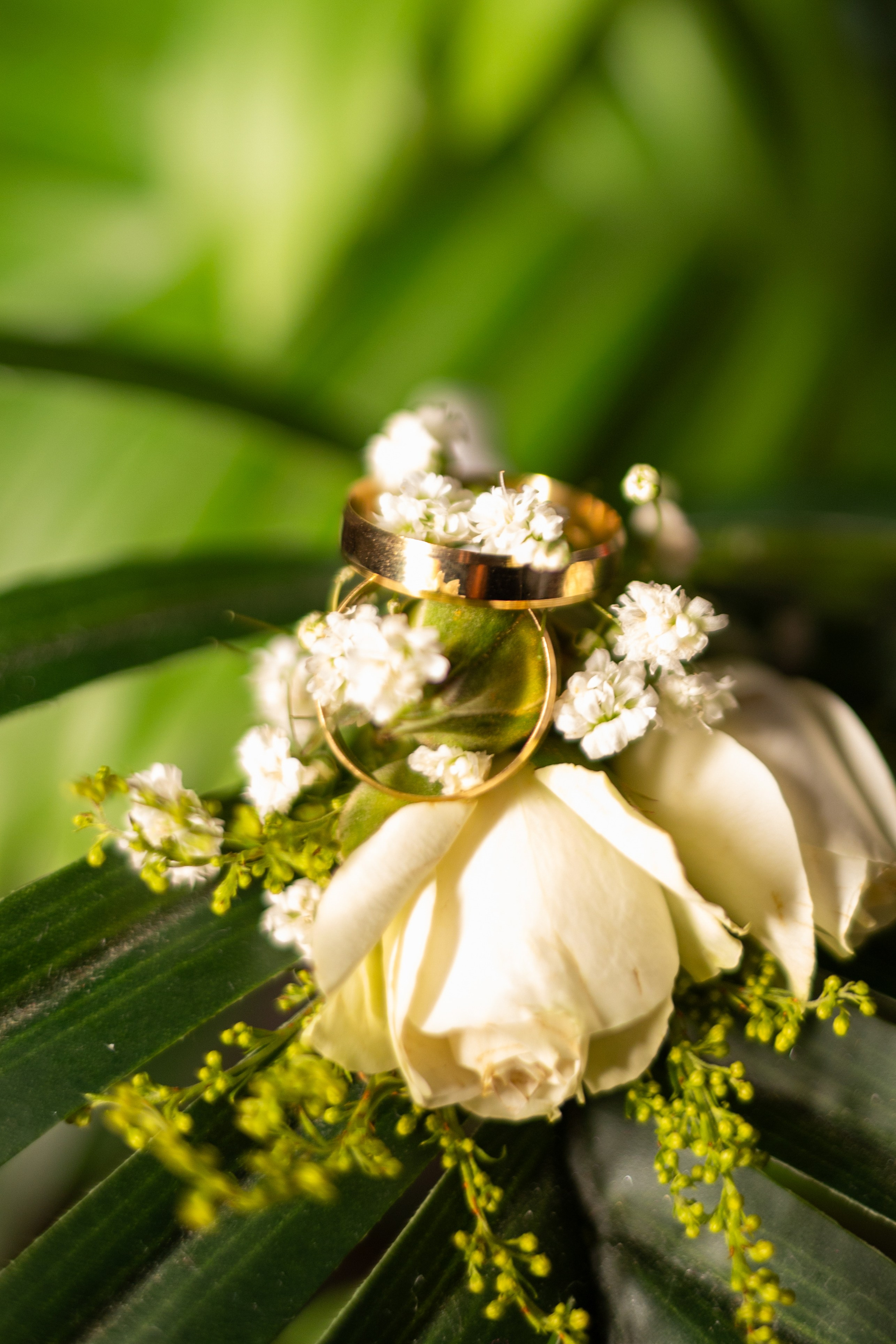 Amanda e Karmo. Bem-vindo ao Meu Mundo Fotográfico