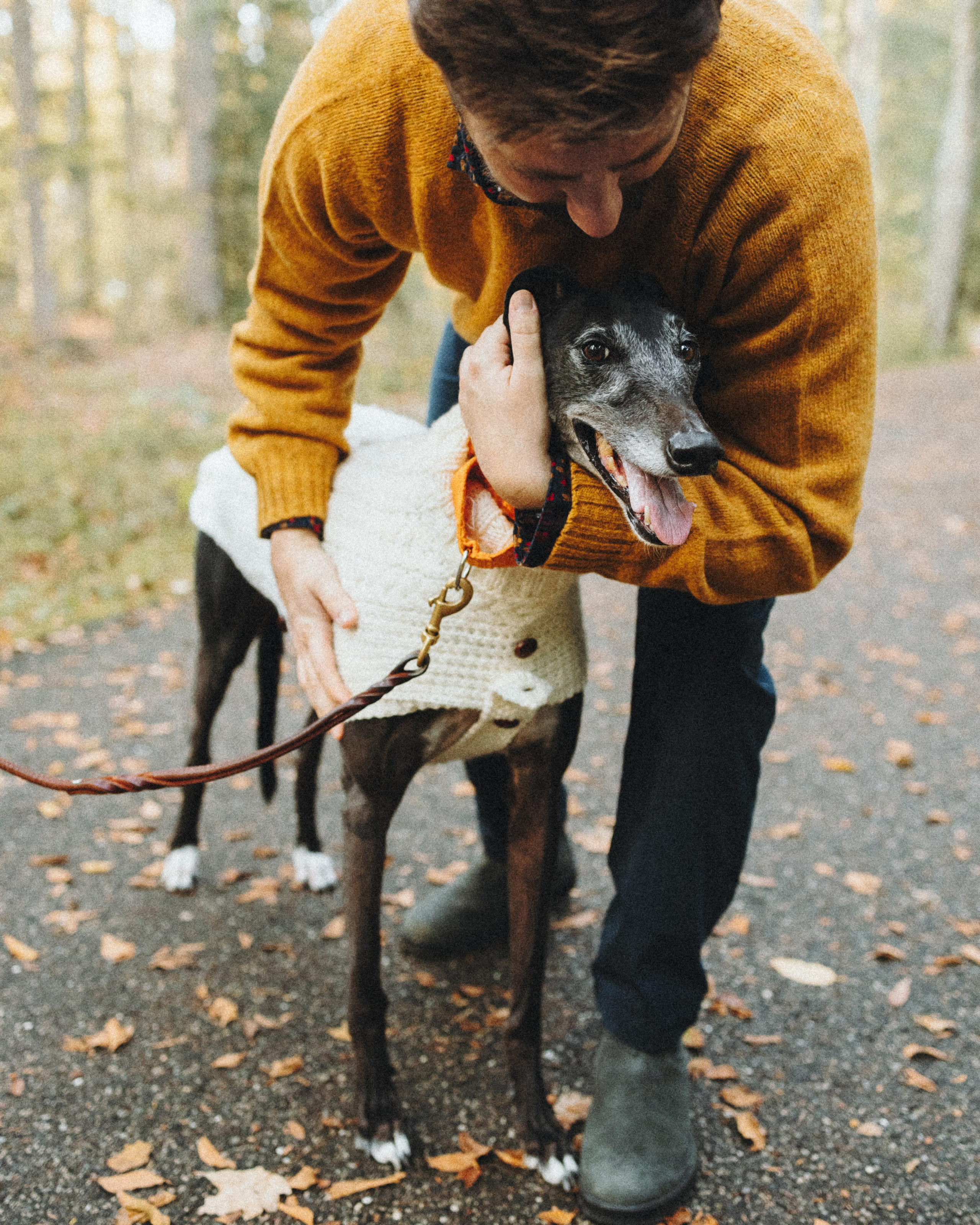 Tilly, Kati & Landon. Pet Photographer Viktoriya Aleshenko