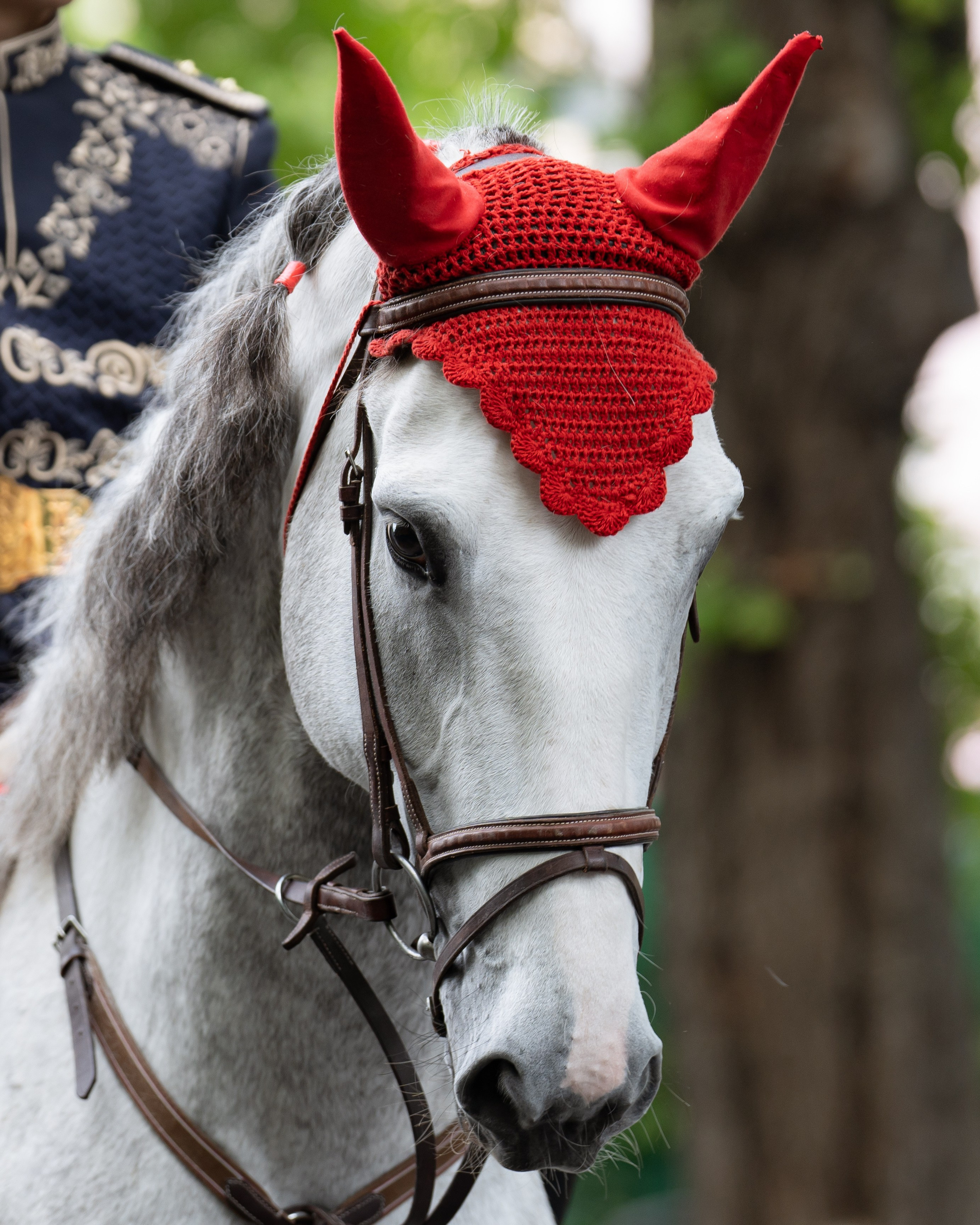 Конный парад в Ташкенте. Георгий Намазов | Фотограф в Ташкенте