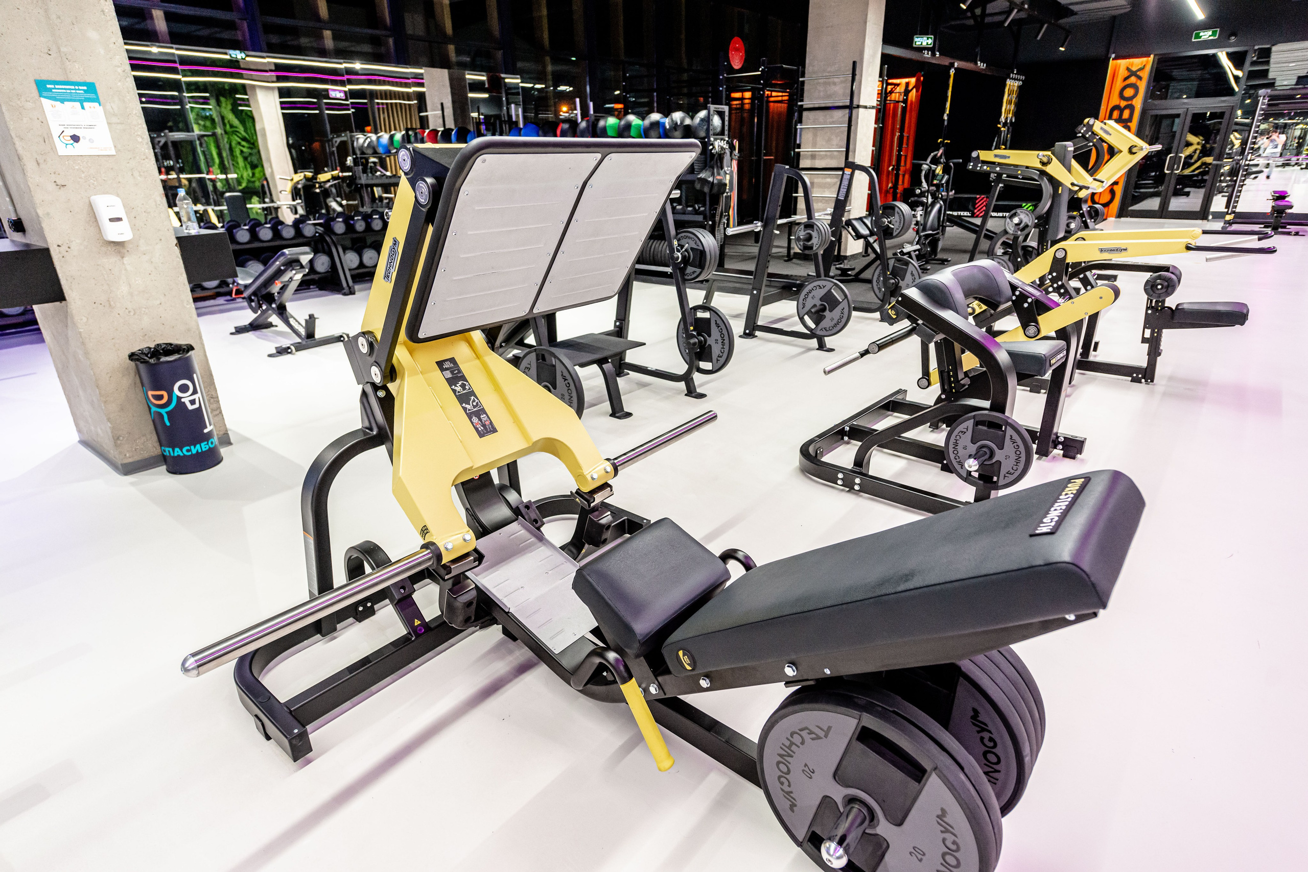 Фитнес-клуб DDX Fitness в Жулебино. ФОТОГРАФ МЕКСИКА КИНТАНА-РОО