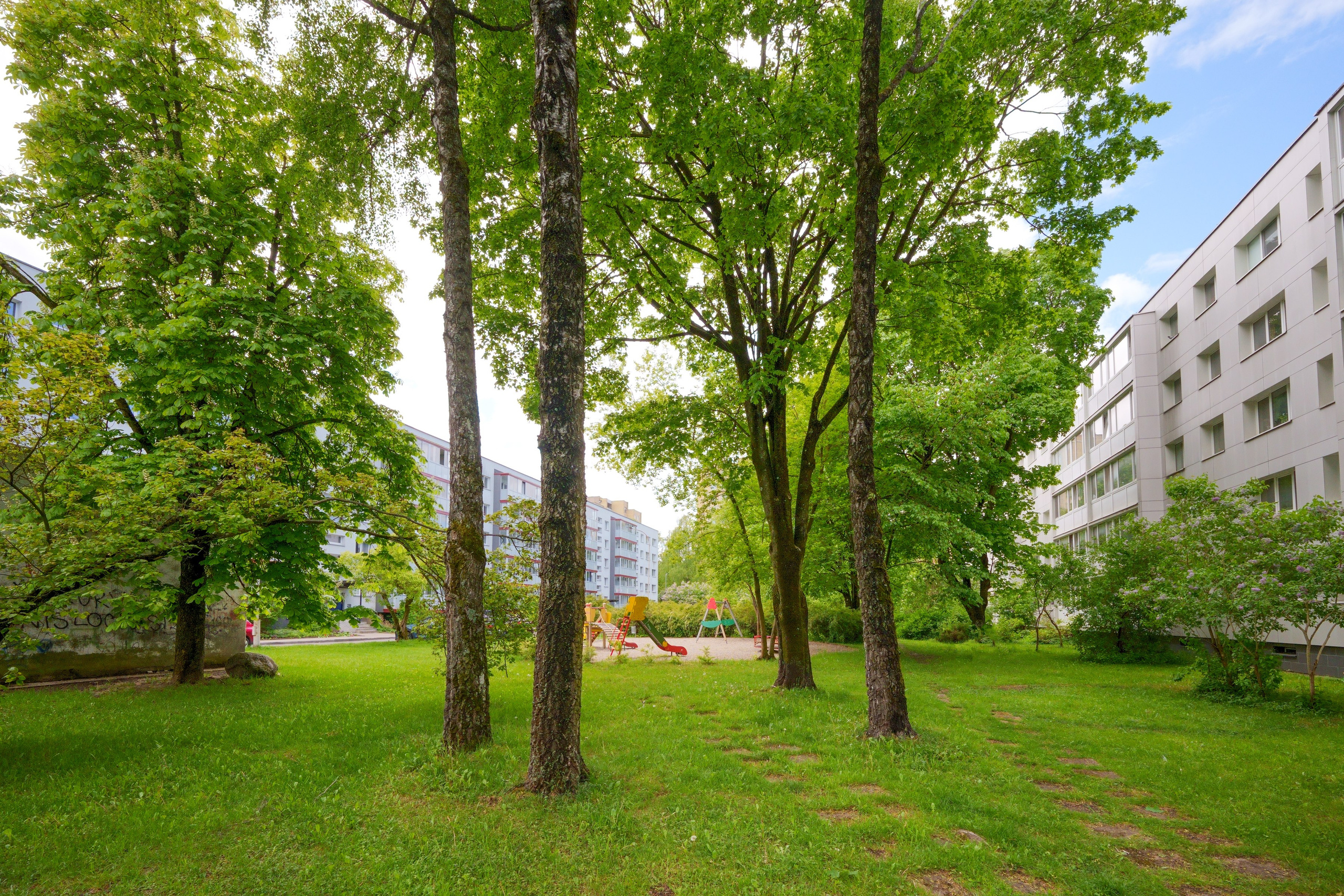 Žirmunų g. 98. Elina Sapiega fotografė Vilniuje