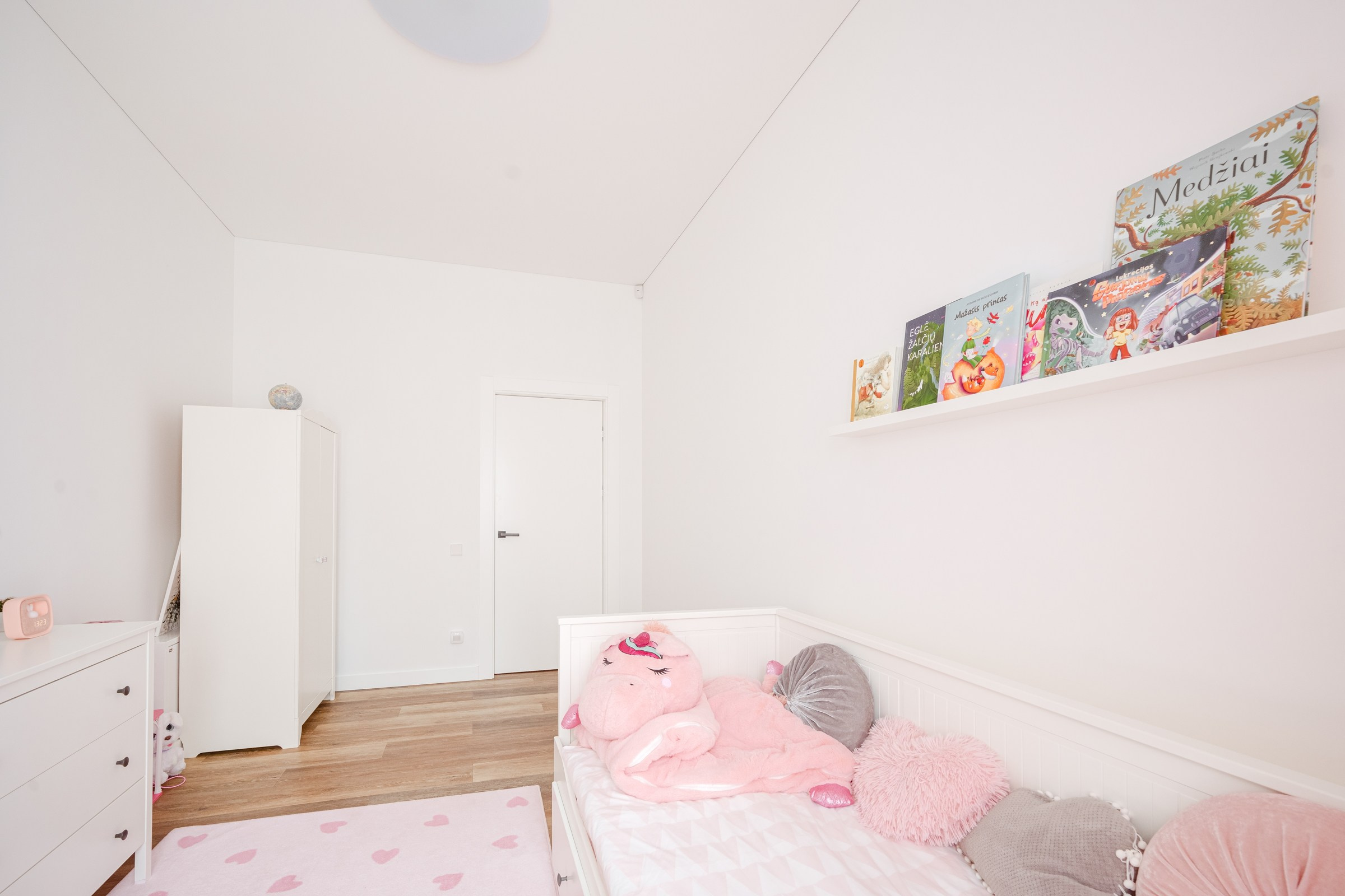 Šumskio g. 5. Elina Sapiega fotografė Vilniuje