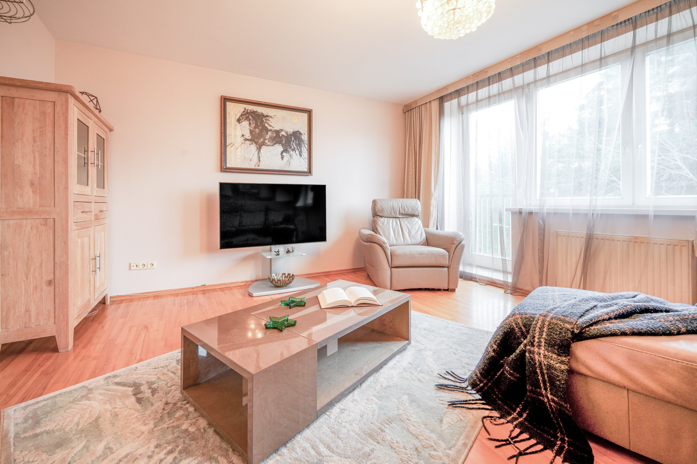 2--jų kambarių butas L. Gyros 80, Vilnius. Elina Sapiega fotografė Vilniuje