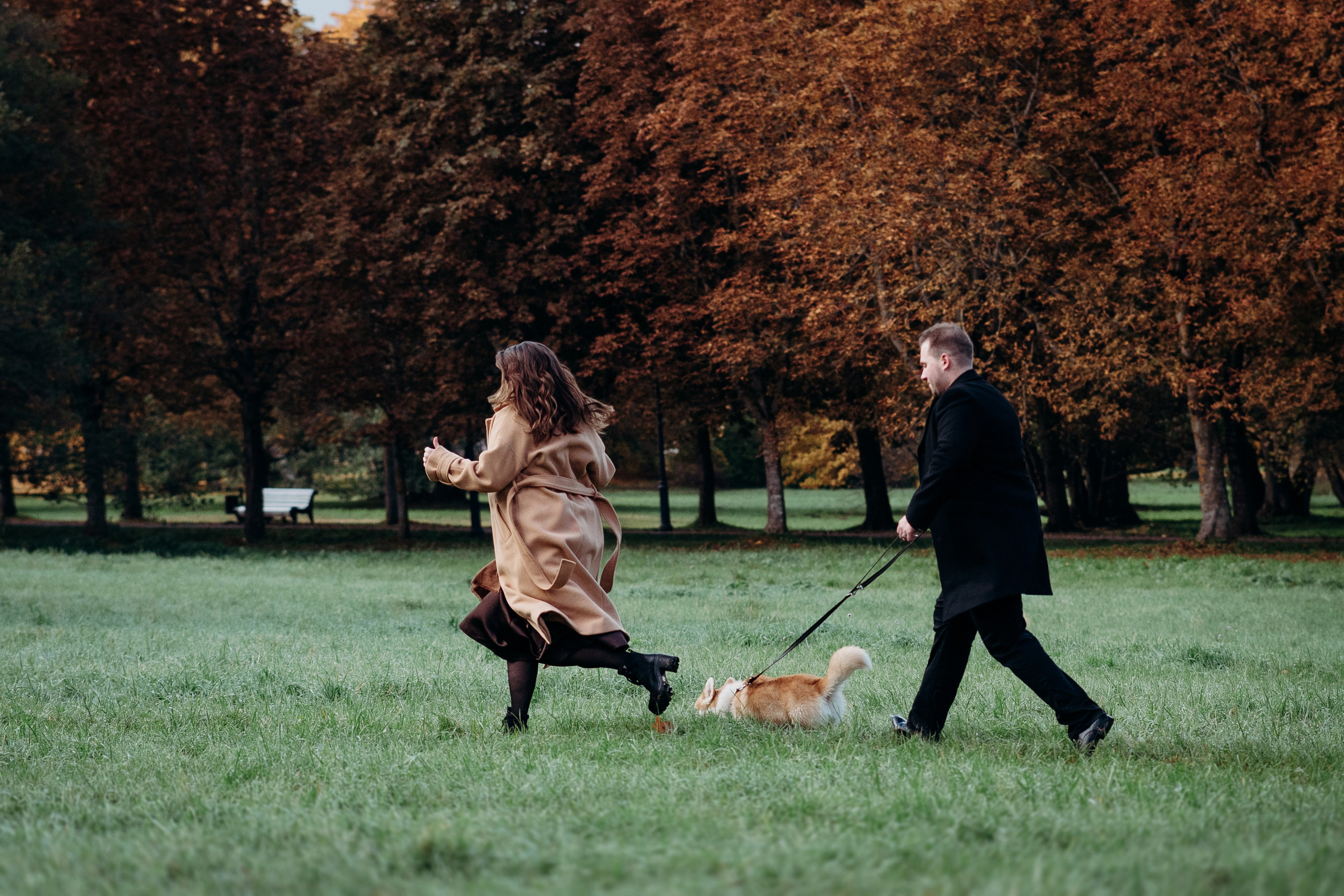 Liisa, Alexander & Marsel. Фотограф-анималист в Таллинне, Катя Лайсаар