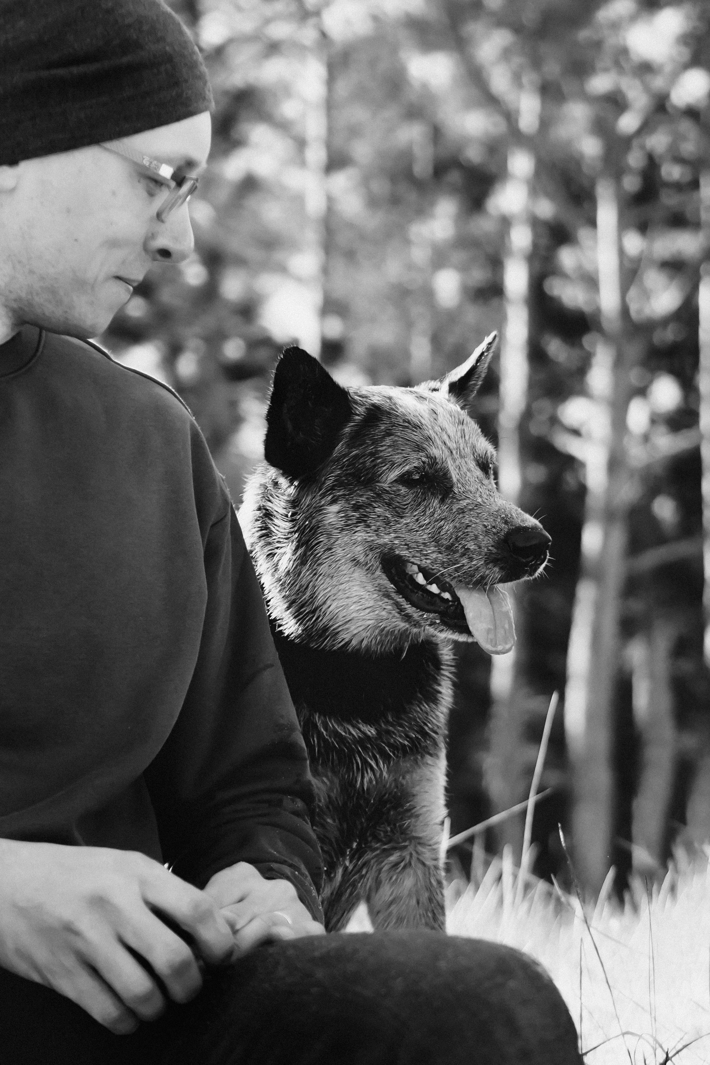 Oskar, Maria & Dmitrii. Kat Laisaar — Pet photographer in Tallinn