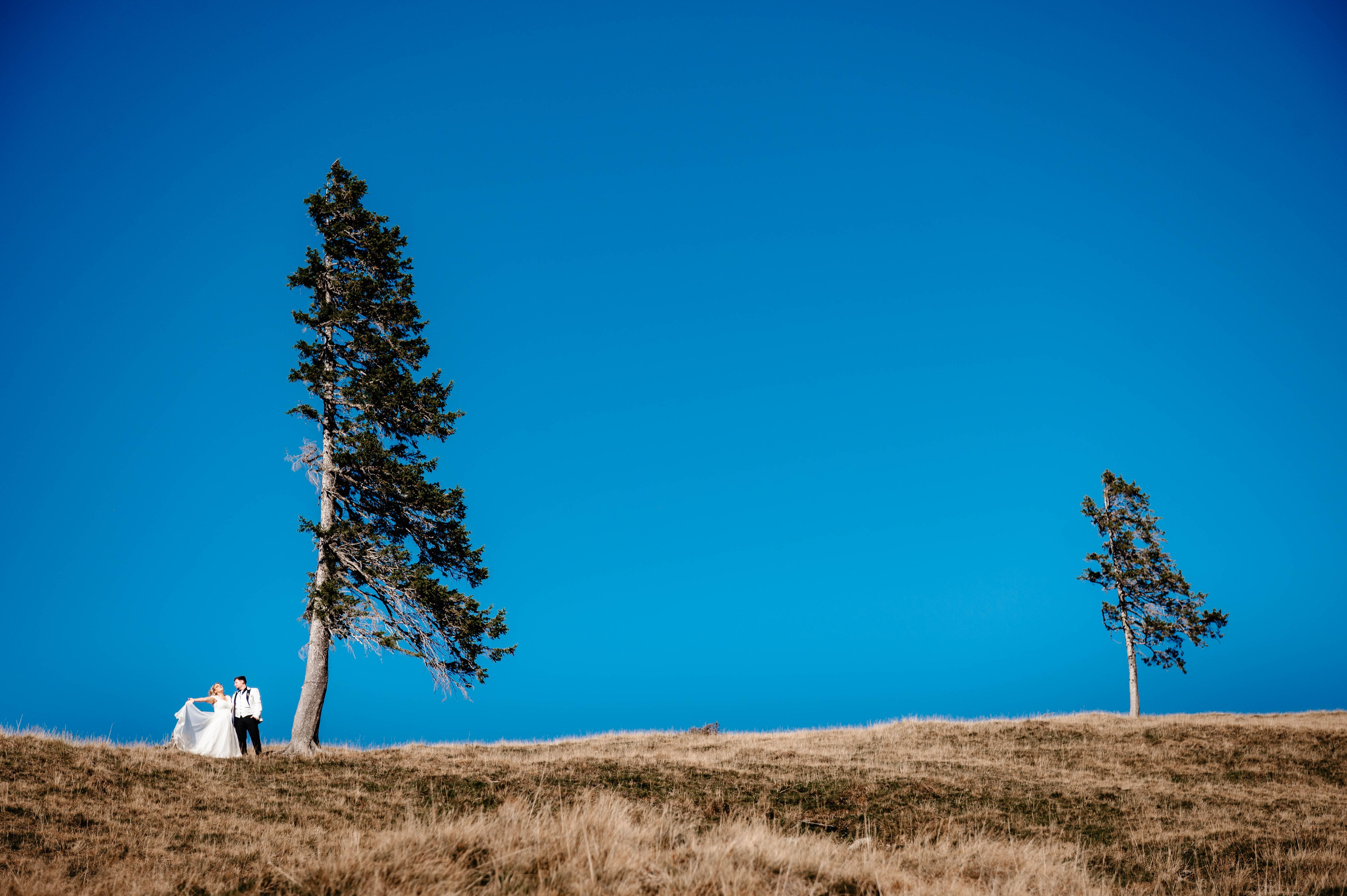 Ana & Cătălin. Ionut Birceanu