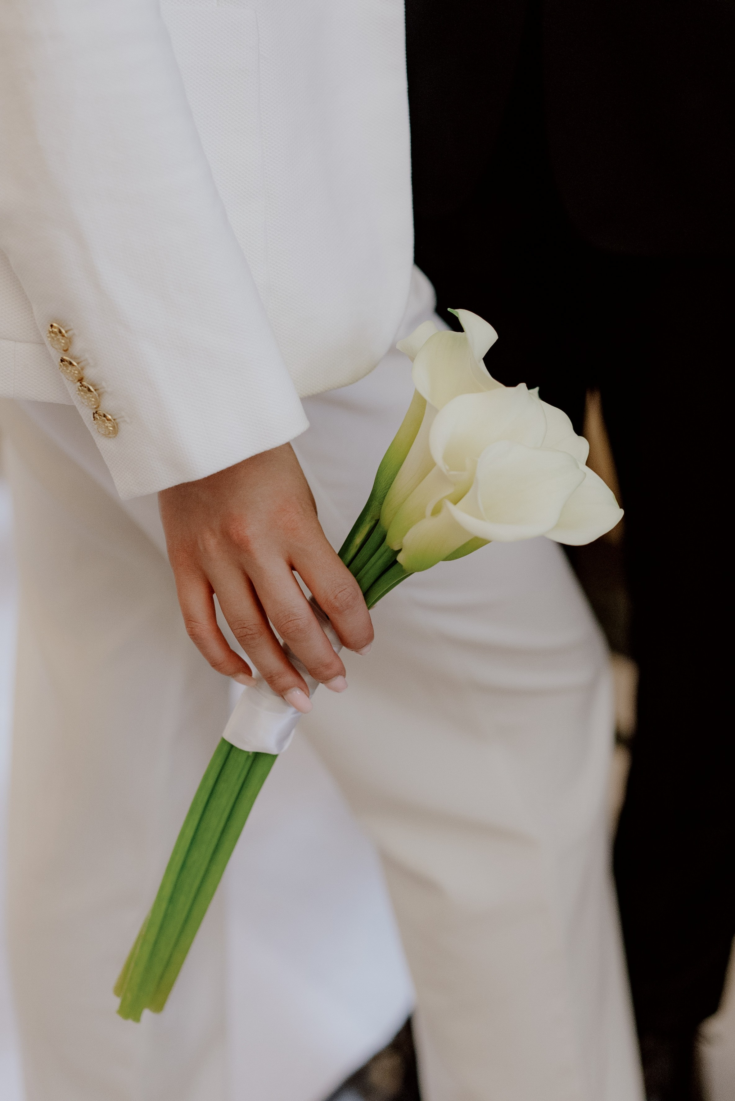 City Hall. Videographer and photographer in New York // MAKAROV.VIDEO