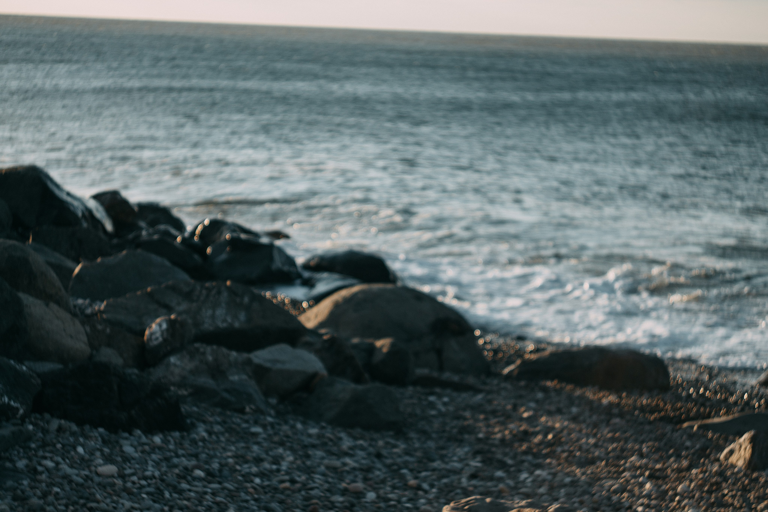 Саша. Wedding and portrait photographer in Beograd Ekaterina Makedonskaya