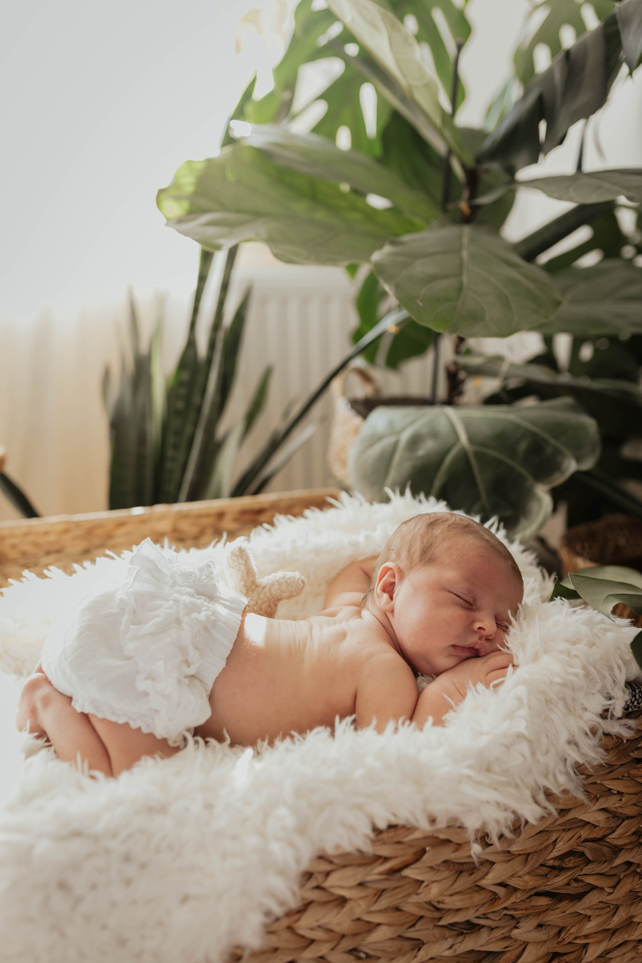 Newborn. Familien- und Kinderfotografin Katerina Vlasenko, München