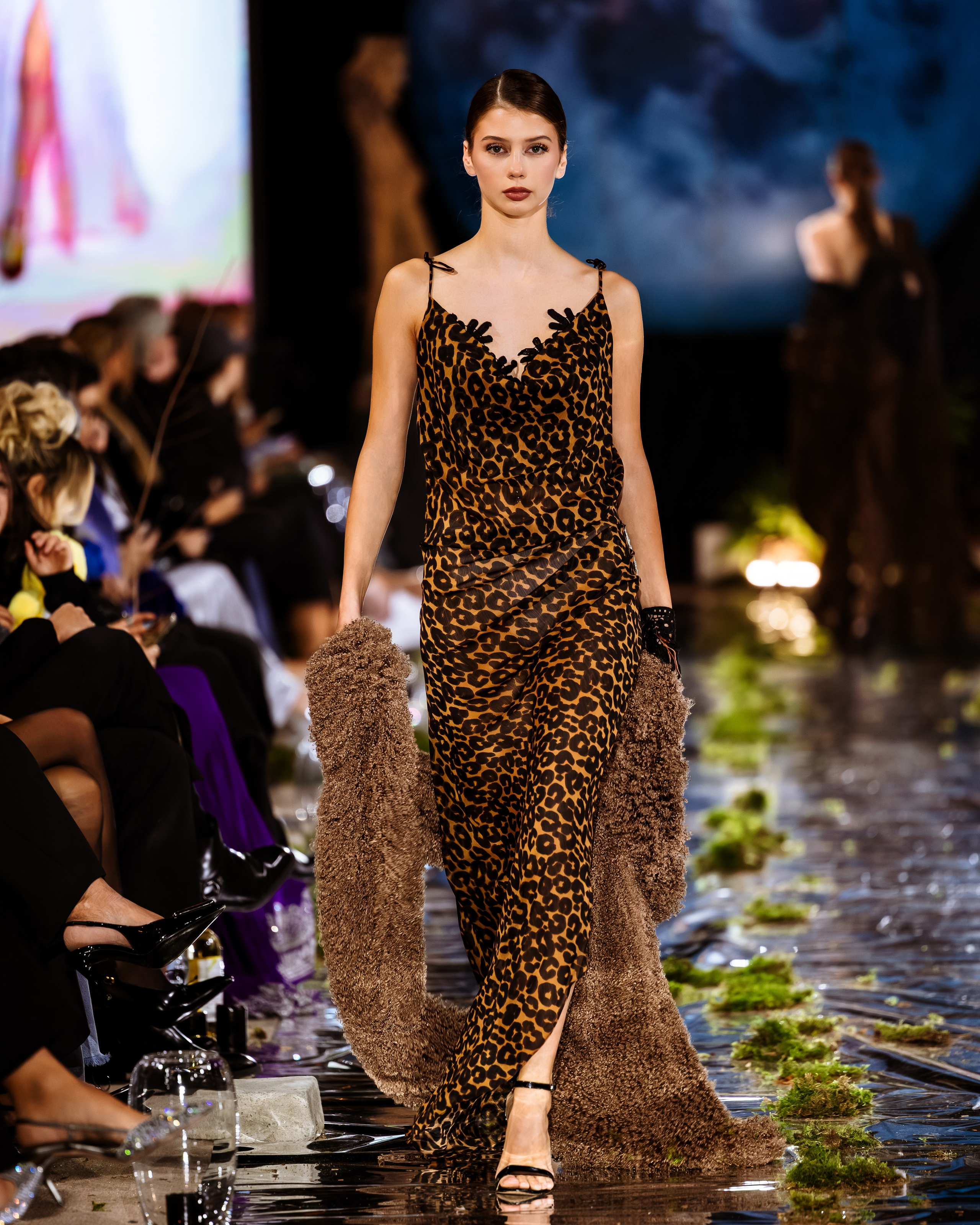 Prive. Marius Ciocan