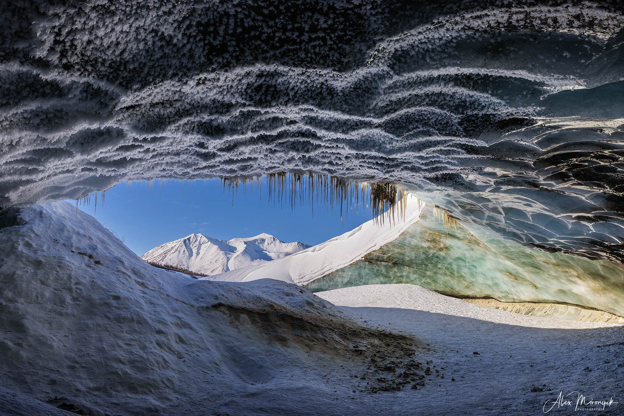 Chasing the Aurora Borealis. Pet, Senior, Landscape, portrait studio, photographer in Miami and Sou