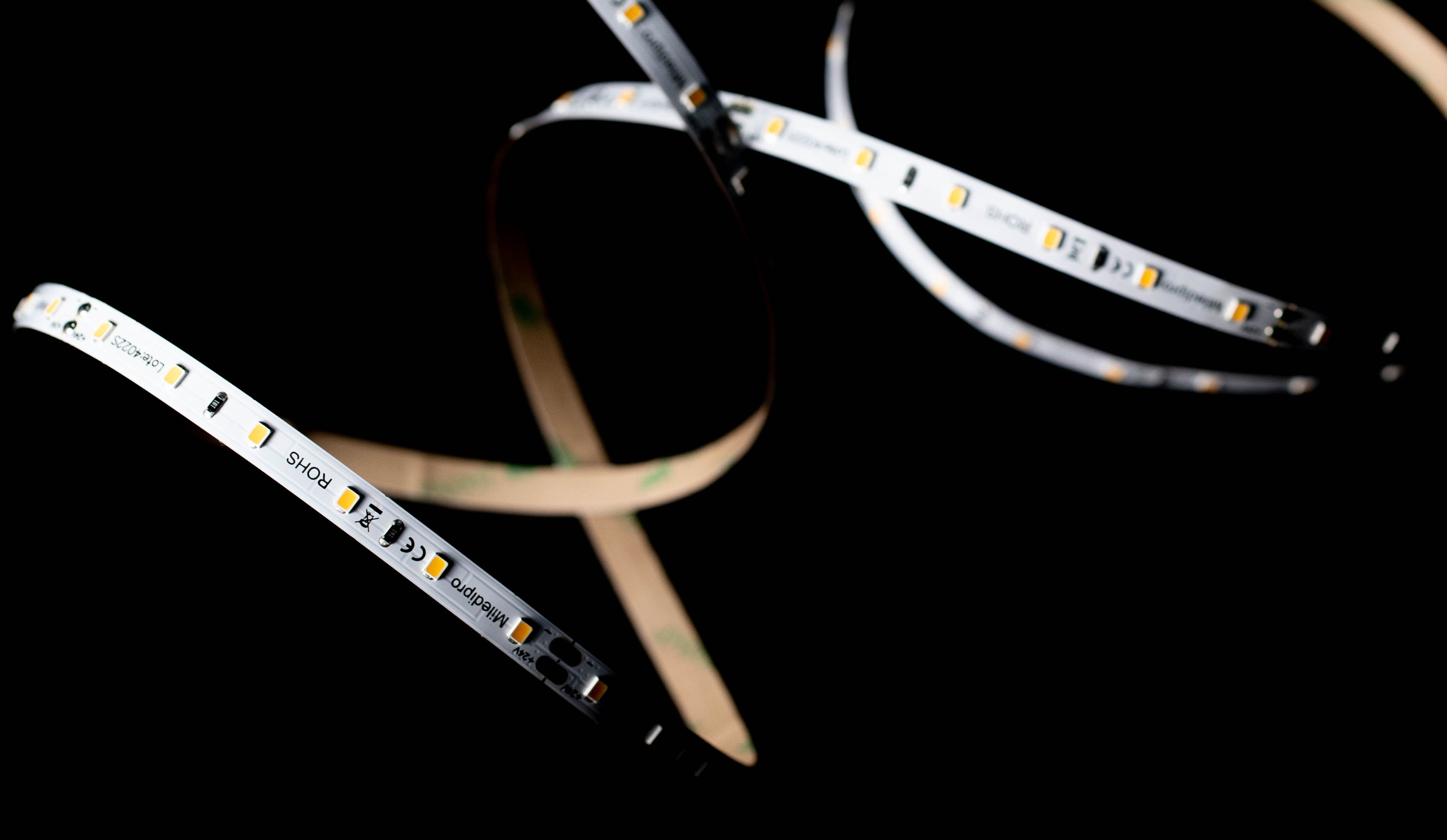 LED Lights. Baby Beast