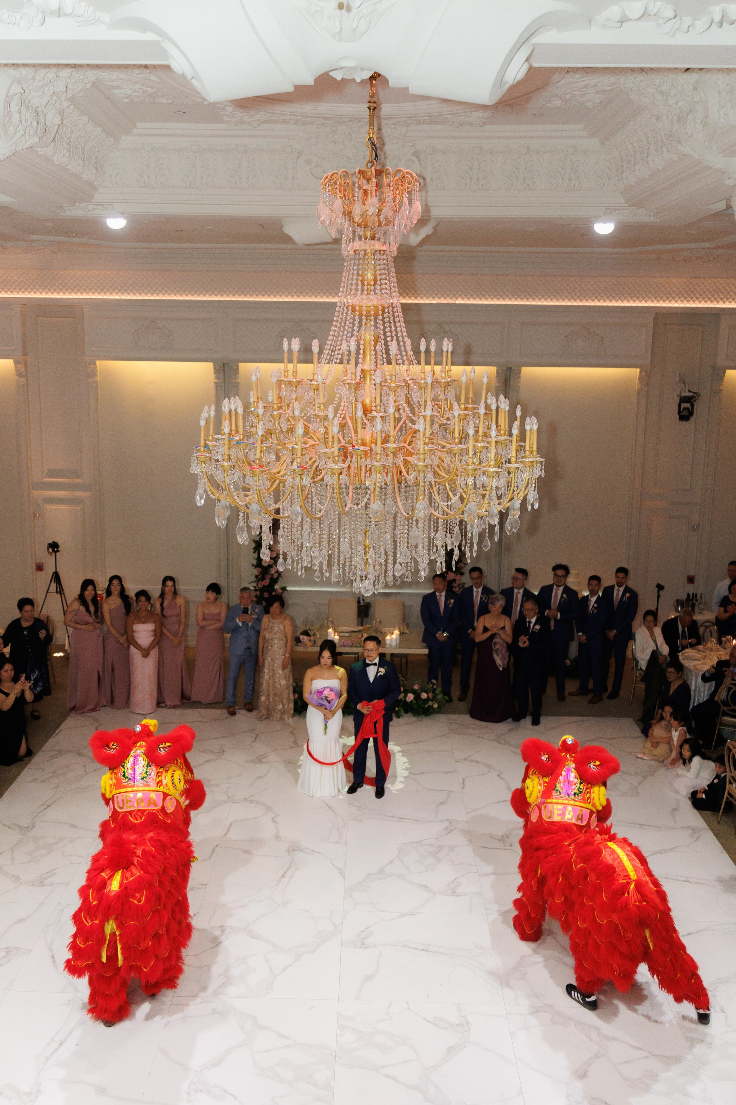 Wedding Photo & Video