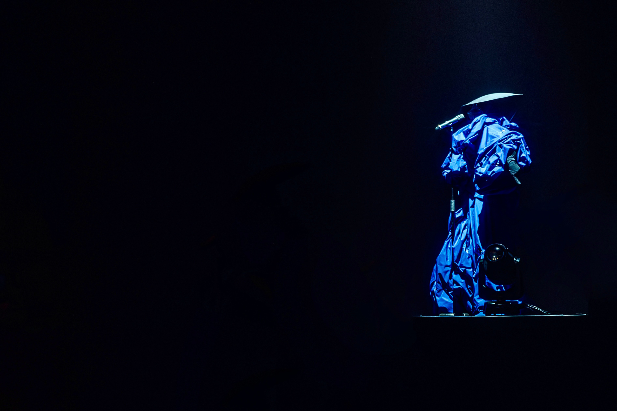 Klavdia Petrivna. Репортажний фотограф/анімаліст КИЇВ